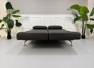 Gebrauchtes braunes Brühl Moule Designer Leder Sofa vor einer Wand, stilvoll und modern eingerichtet.