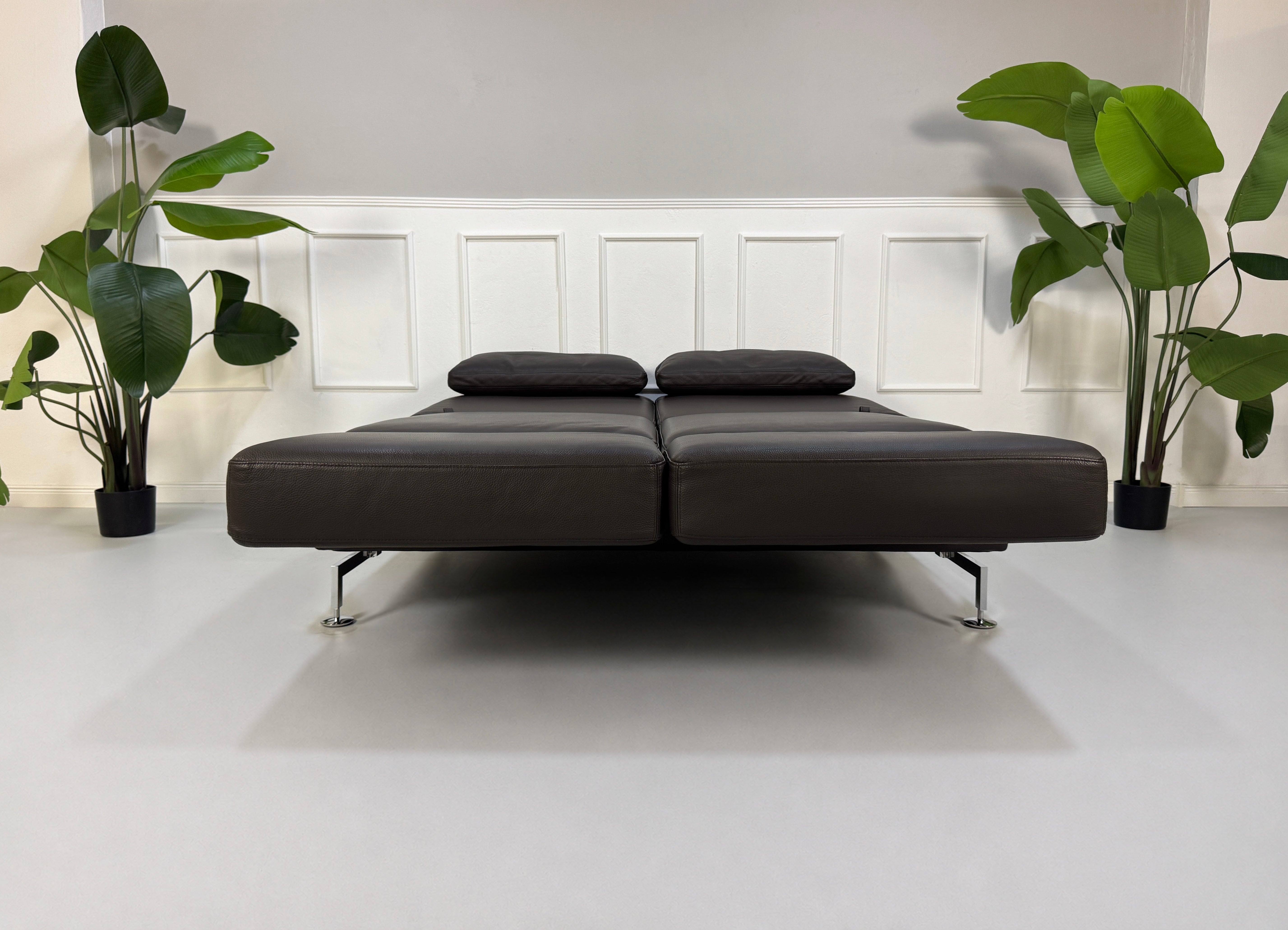 Gebrauchtes braunes Brühl Moule Designer Leder Sofa vor einer Wand, stilvoll und modern eingerichtet.