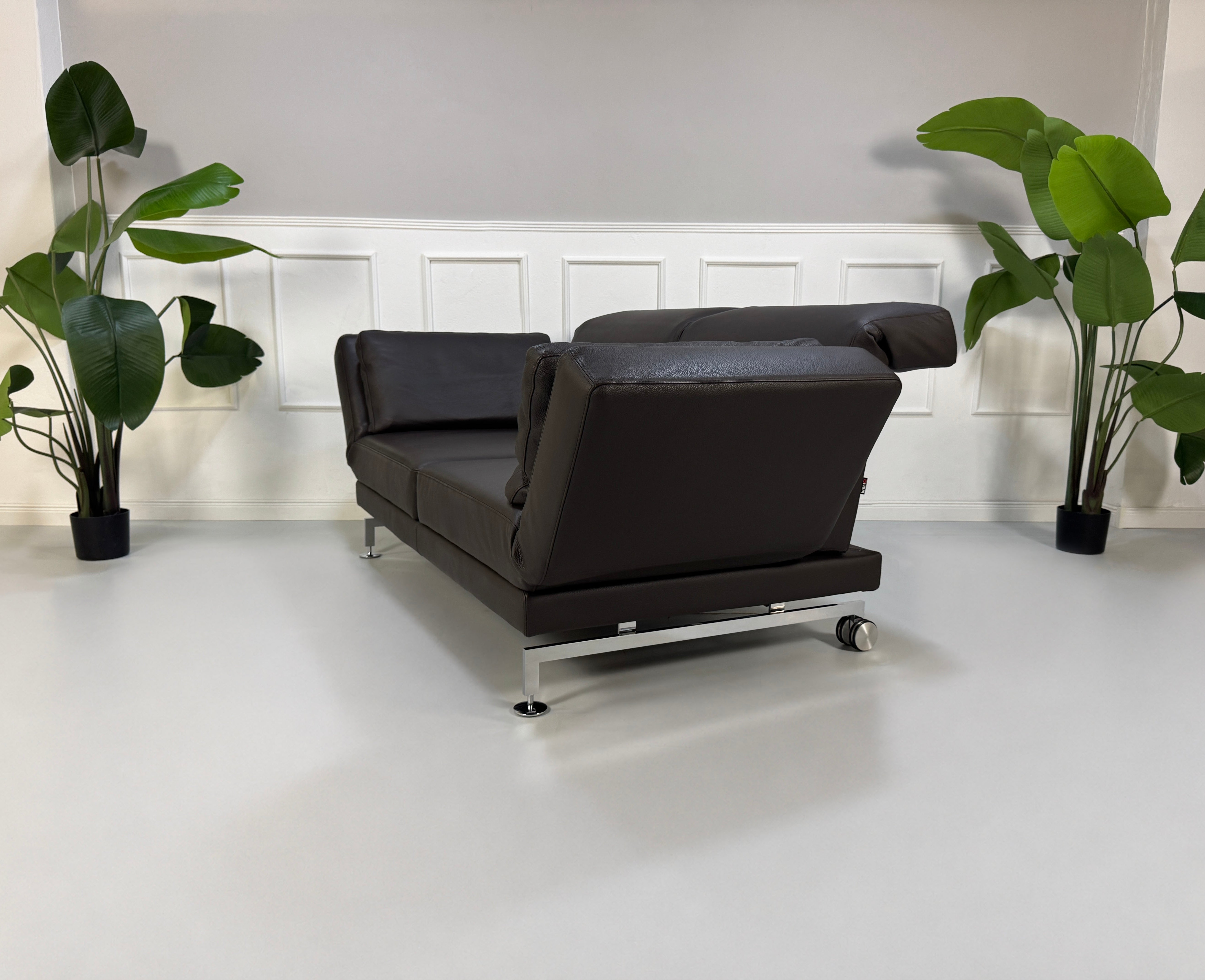 Gebrauchtes braunes Brühl Moule Designer Leder Sofa vor einer Wand, stilvoll und modern eingerichtet.