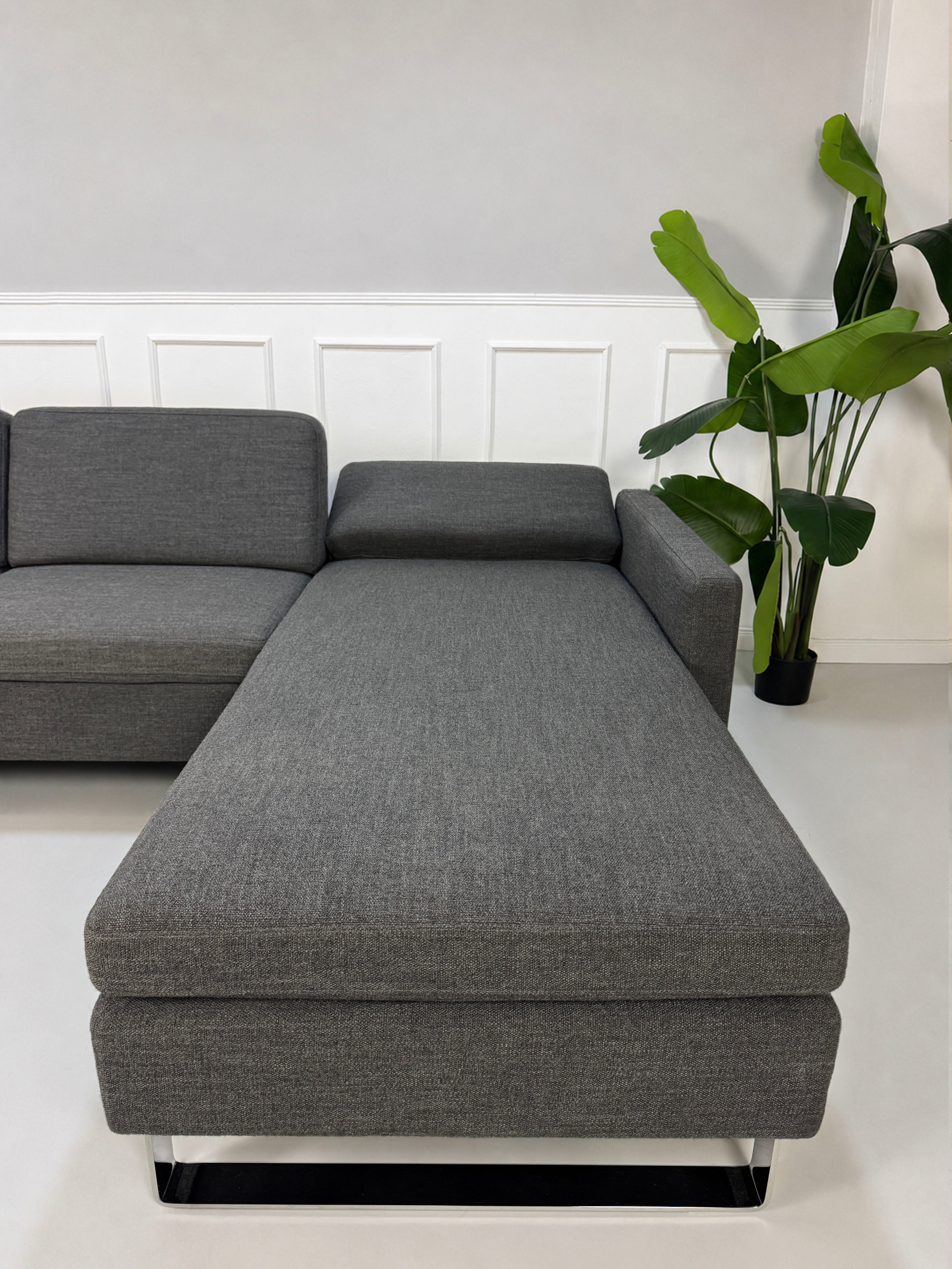 Gebrauchtes graues Brühl Alba Designer Stoff Sofa vor einer Wand, stilvoll und modern eingerichtet.