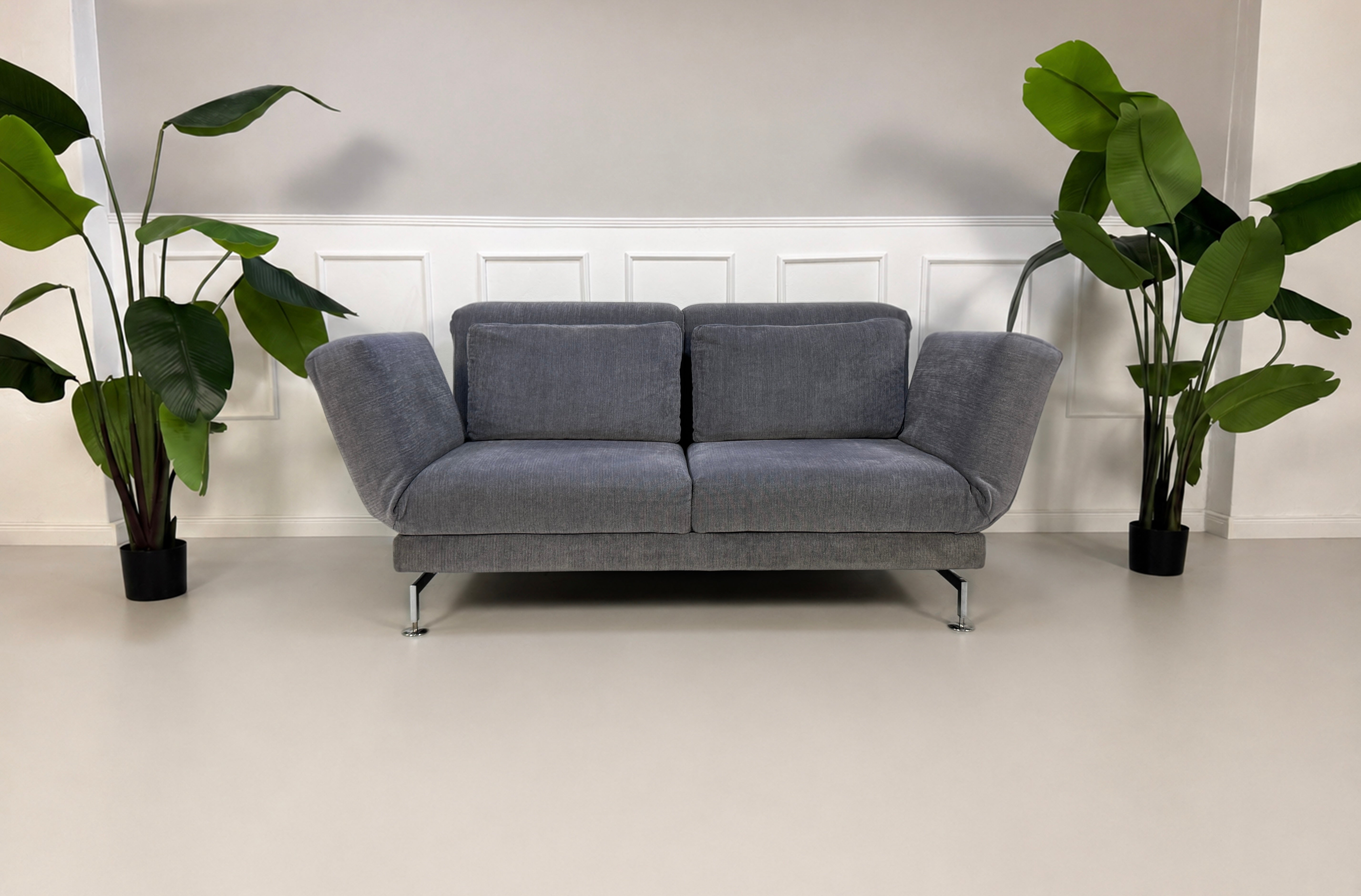 Gebrauchtes graues Brühl Moule Designer Stoff Sofa vor einer Wand, stilvoll und modern eingerichtet.