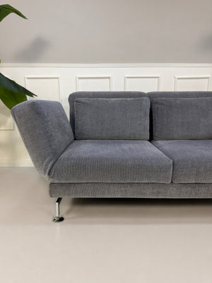 Gebrauchtes graues Brühl Moule Designer Stoff Sofa vor einer Wand, stilvoll und modern eingerichtet.