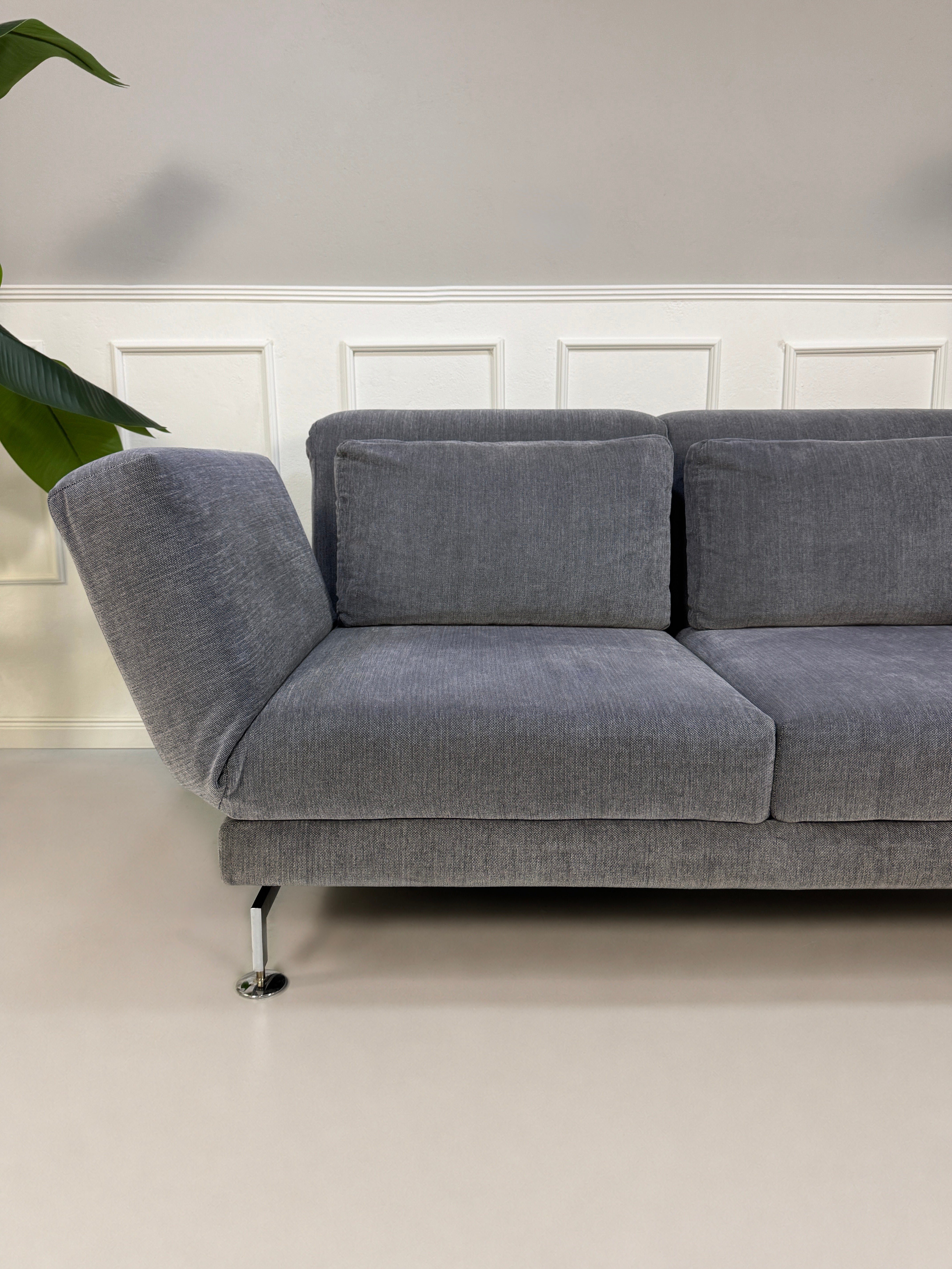 Gebrauchtes graues Brühl Moule Designer Stoff Sofa vor einer Wand, stilvoll und modern eingerichtet.