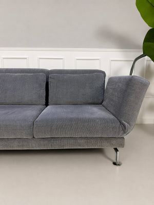 Gebrauchtes graues Brühl Moule Designer Stoff Sofa vor einer Wand, stilvoll und modern eingerichtet.