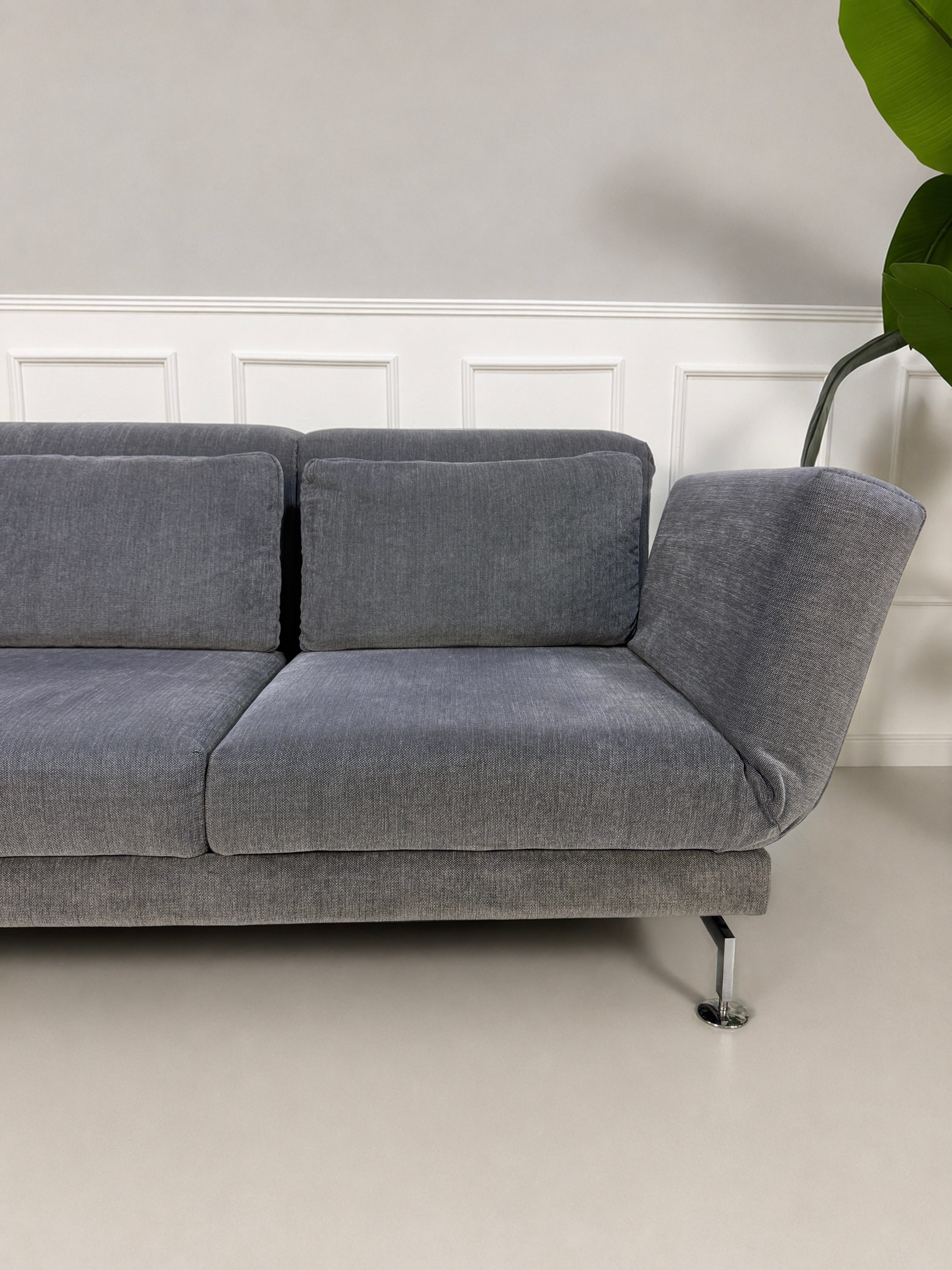 Gebrauchtes graues Brühl Moule Designer Stoff Sofa vor einer Wand, stilvoll und modern eingerichtet.