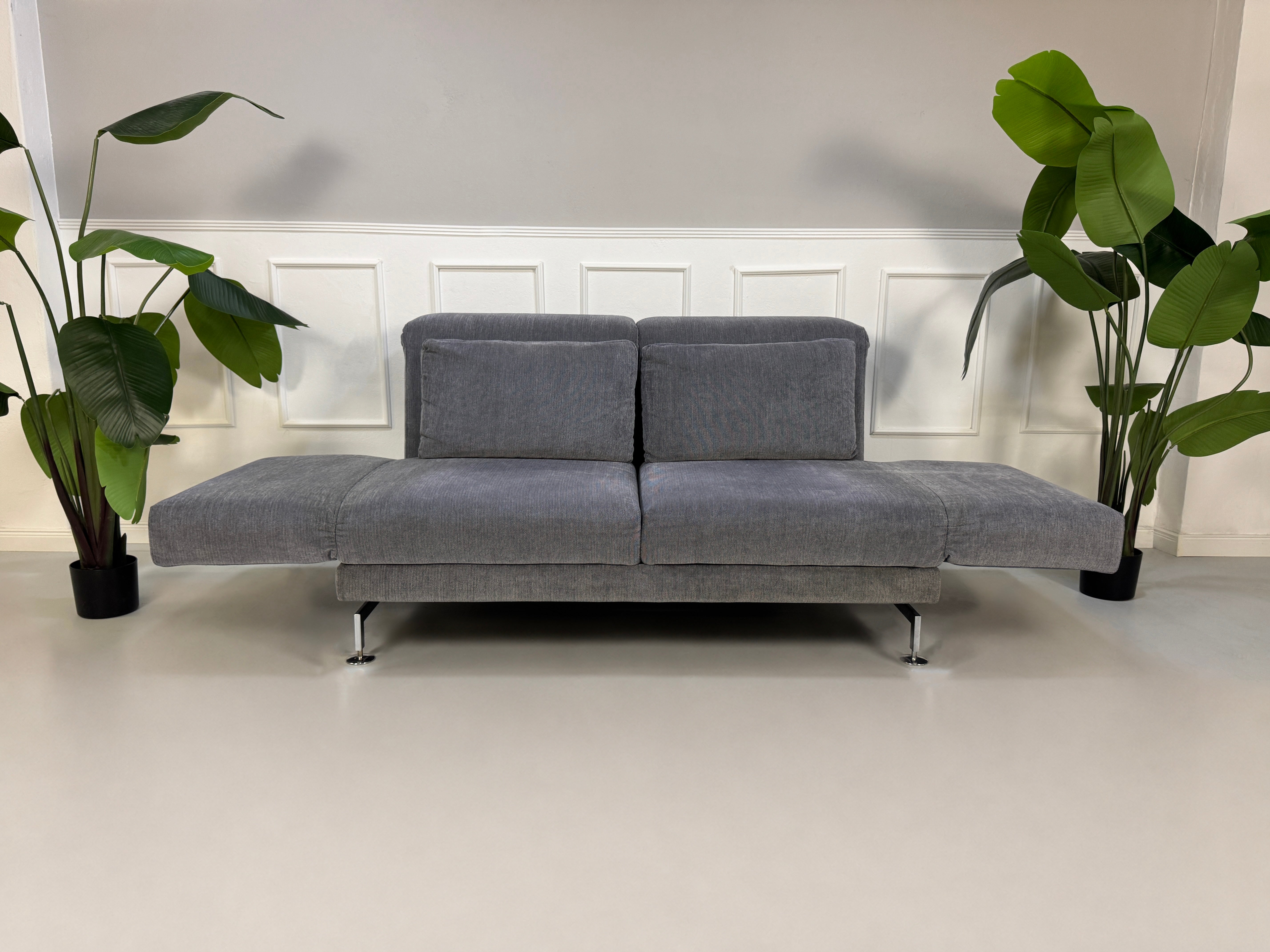 Gebrauchtes graues Brühl Moule Designer Stoff Sofa vor einer Wand, stilvoll und modern eingerichtet.