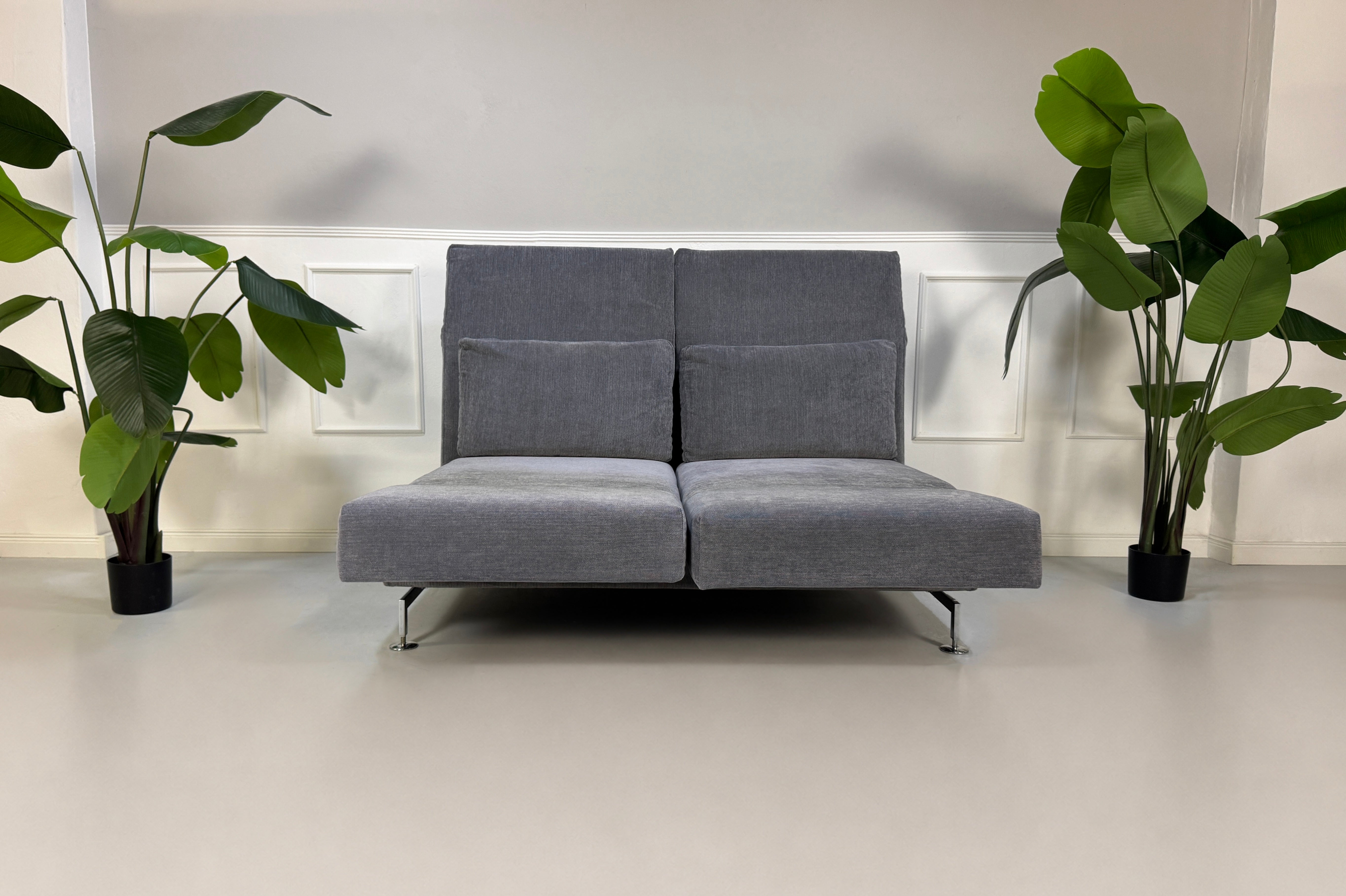 Gebrauchtes graues Brühl Moule Designer Stoff Sofa vor einer Wand, stilvoll und modern eingerichtet.