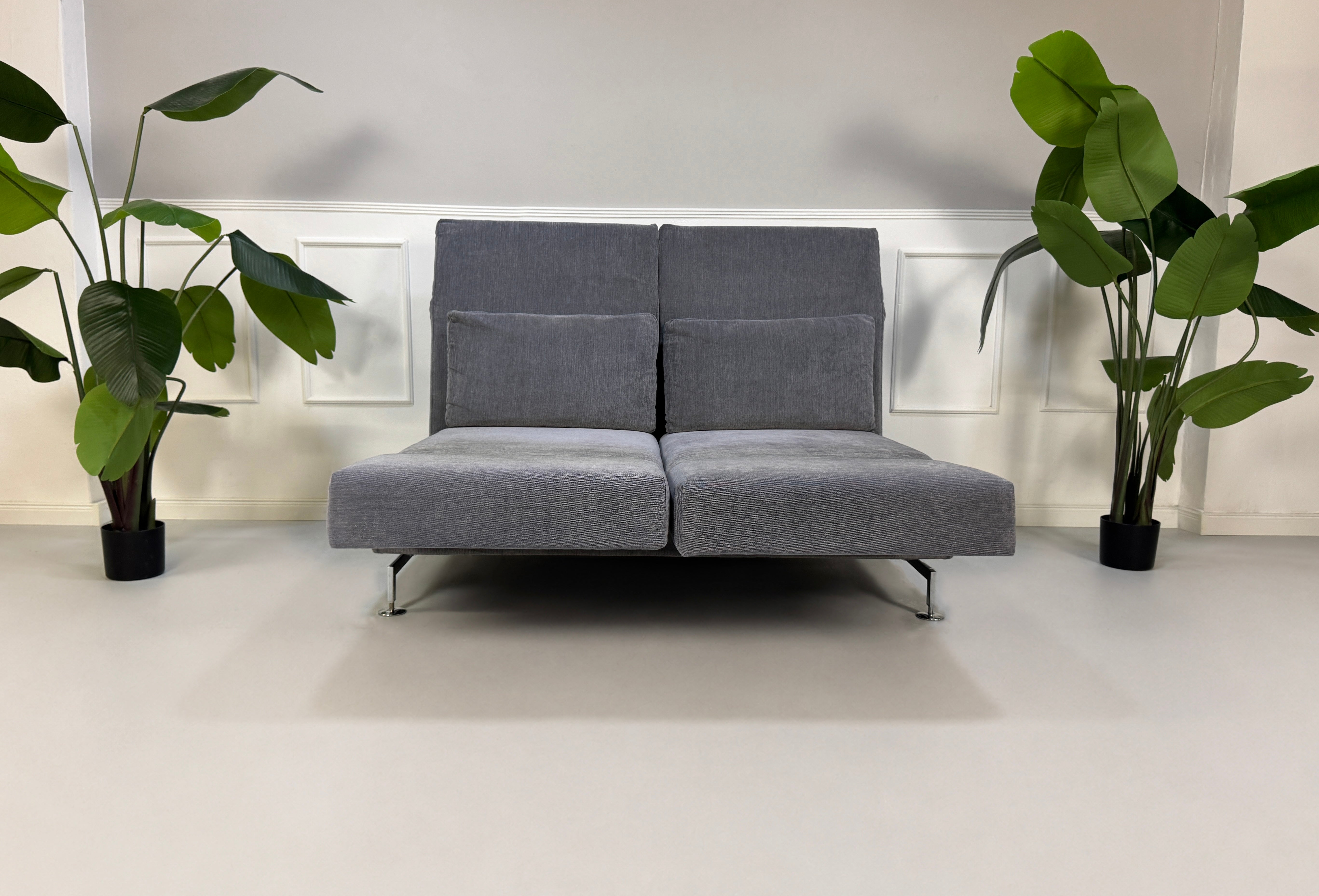 Gebrauchtes graues Brühl Moule Designer Stoff Sofa vor einer Wand, stilvoll und modern eingerichtet.