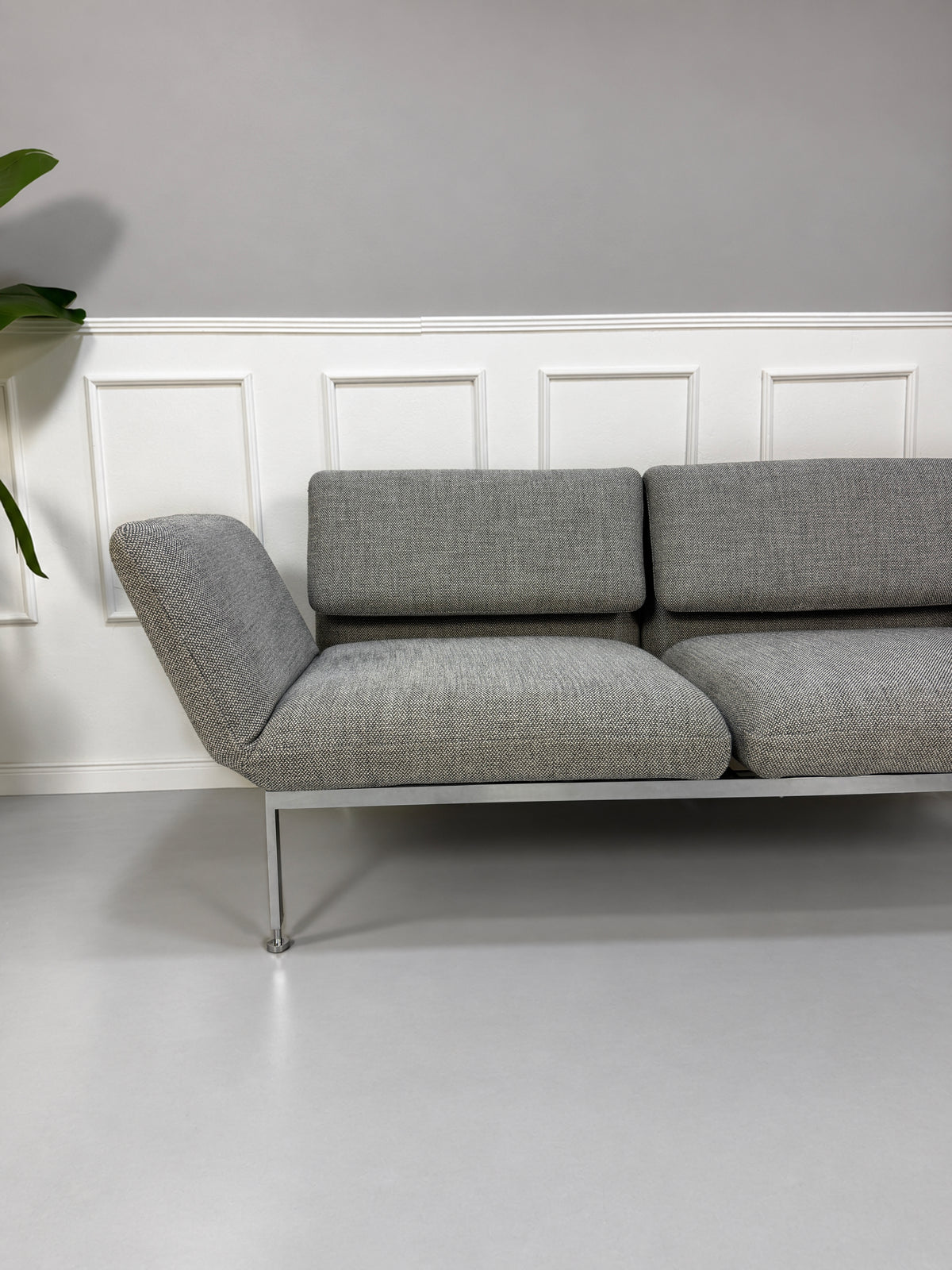 Gebrauchtes graues Brühl Roro Medium Designer Stoff Sofa vor einer Wand, stilvoll und modern eingerichtet.