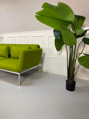 Gebrauchtes grünes Brühl Roro Designer Stoff Sofa vor einer Wand, stilvoll und modern eingerichtet.