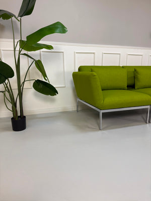 Gebrauchtes grünes Brühl Roro Designer Stoff Sofa vor einer Wand, stilvoll und modern eingerichtet.
