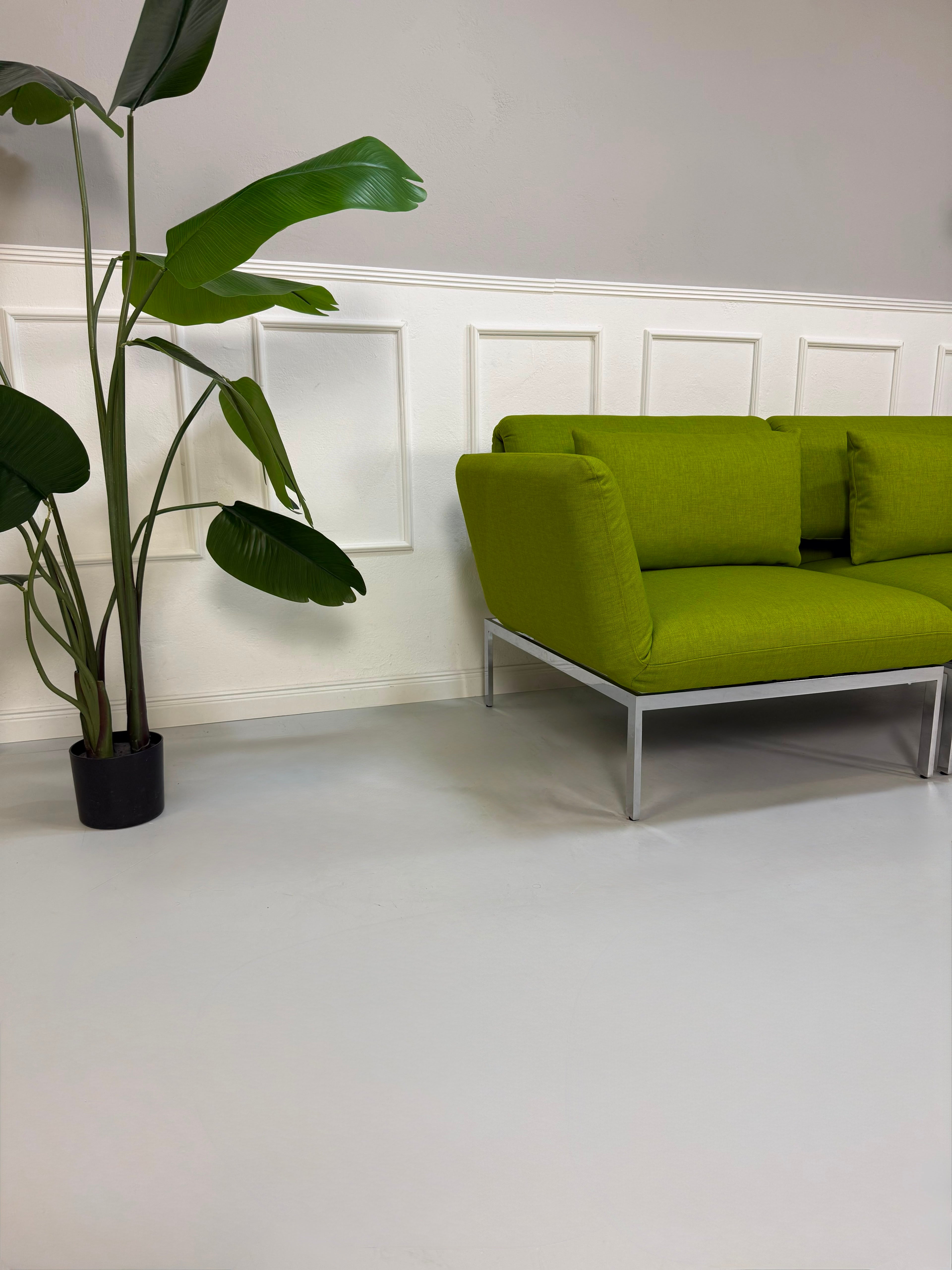 Gebrauchtes grünes Brühl Roro Designer Stoff Sofa vor einer Wand, stilvoll und modern eingerichtet.