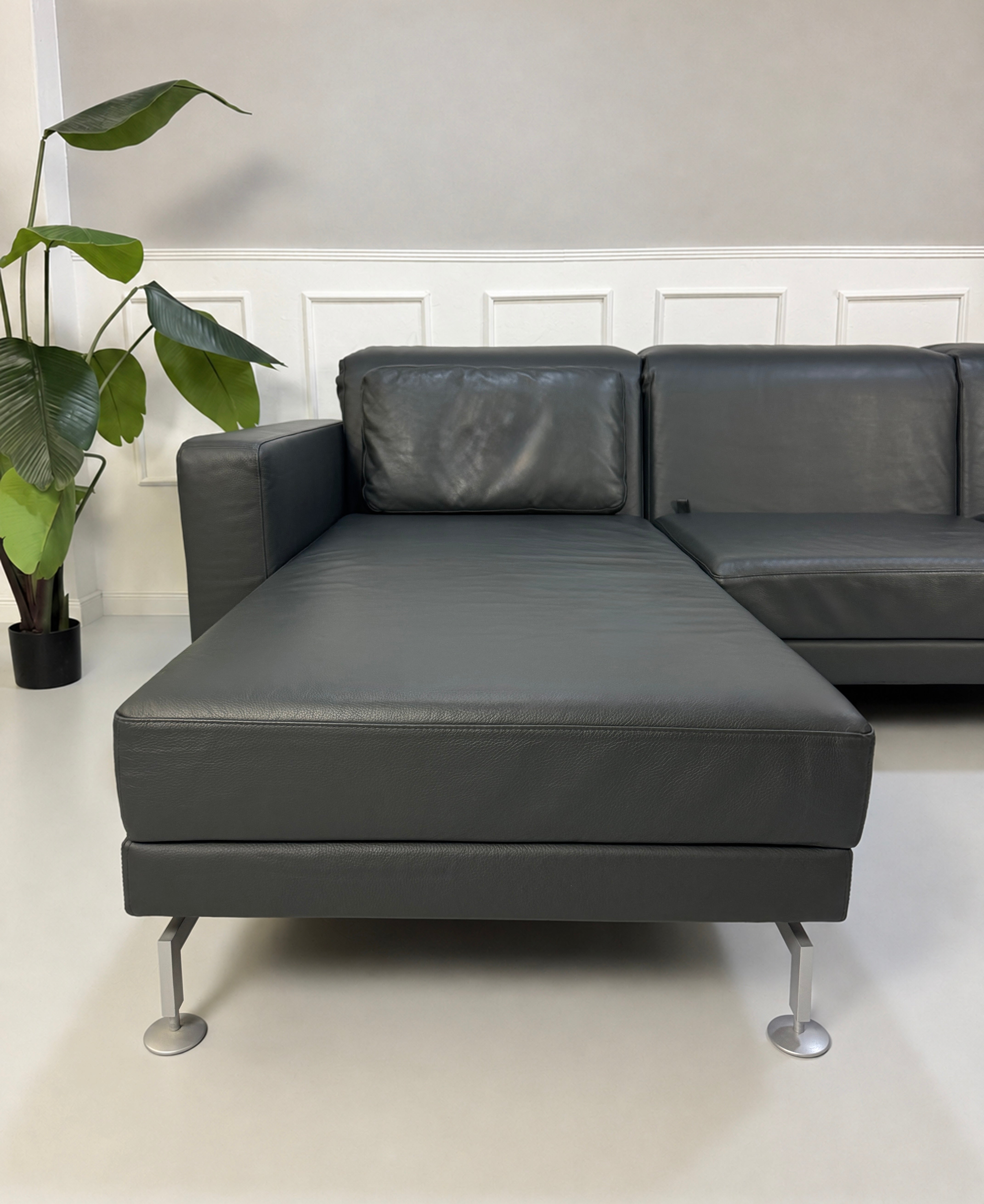 Gebrauchtes Grau Grün Brühl Moule Designer Leder Sofa vor einer Wand, stilvoll und modern eingerichtet.