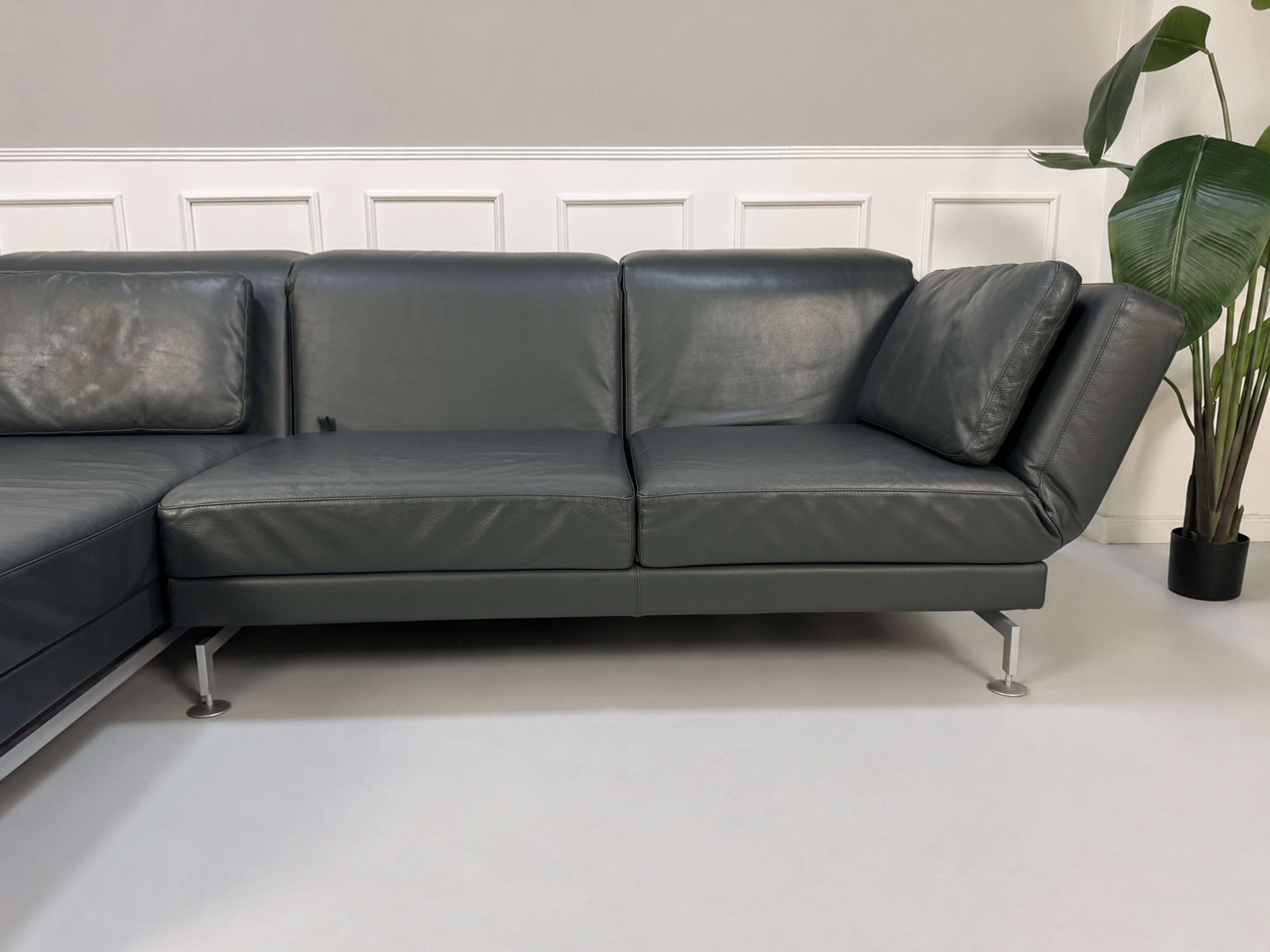 Gebrauchtes Grau Grün Brühl Moule Designer Leder Sofa vor einer Wand, stilvoll und modern eingerichtet.