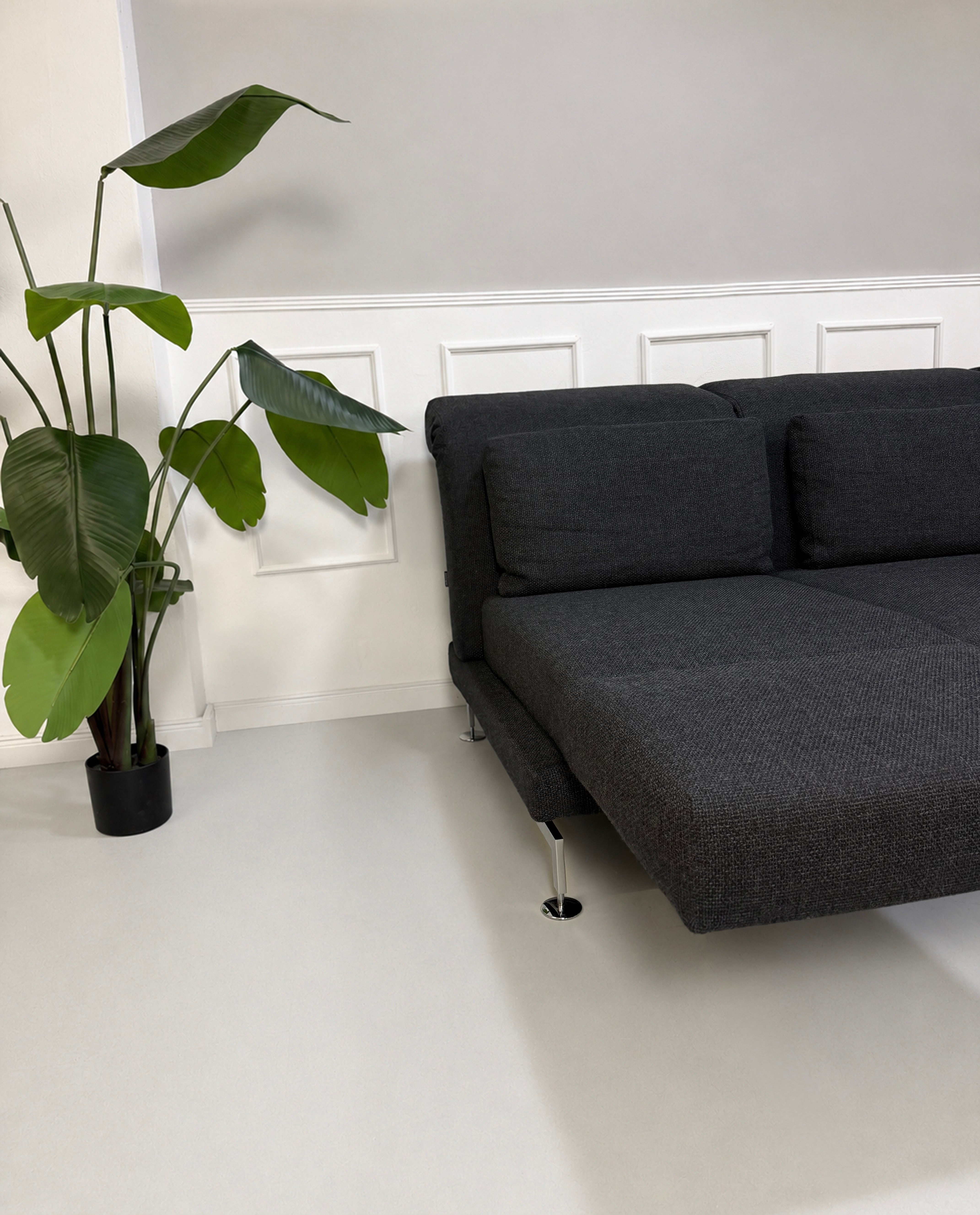Gebrauchtes graues Brühl Moule Designer Stoff Sofa vor einer Wand, stilvoll und modern eingerichtet.