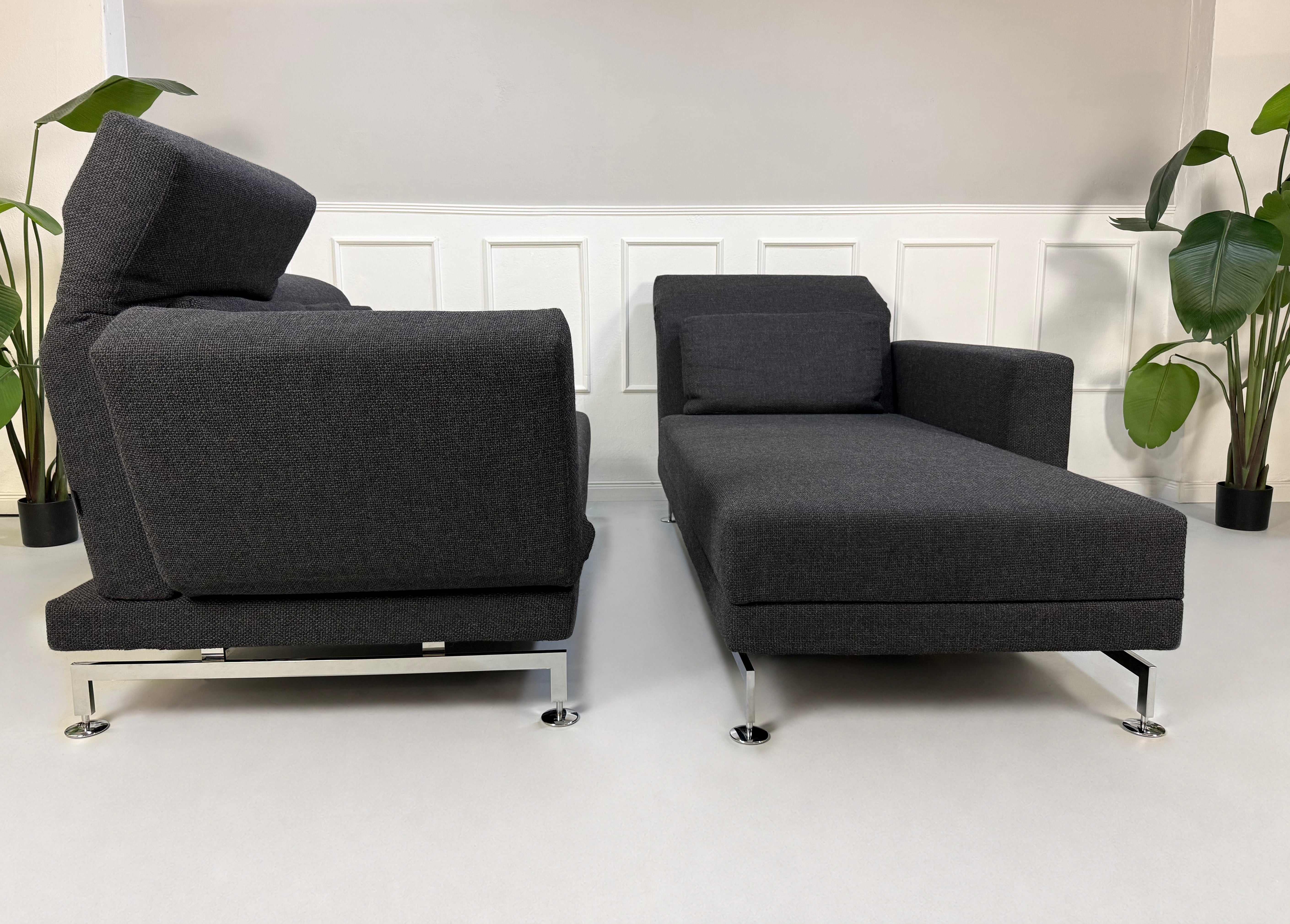 Gebrauchtes graues Brühl Moule Designer Stoff Sofa vor einer Wand, stilvoll und modern eingerichtet.