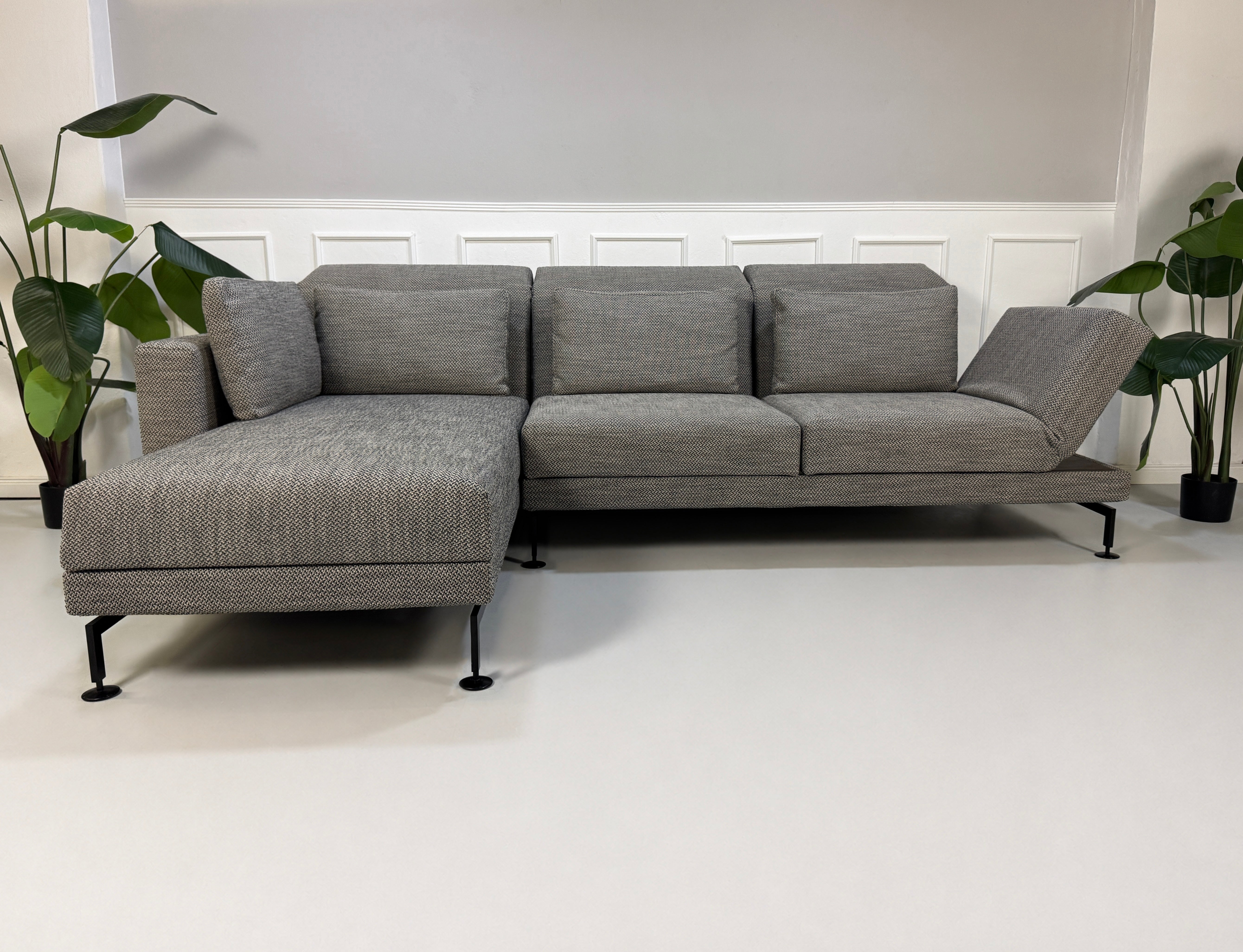 Gebrauchtes graues Brühl Moule Designer Stoff Sofa vor einer Wand, stilvoll und modern eingerichtet.