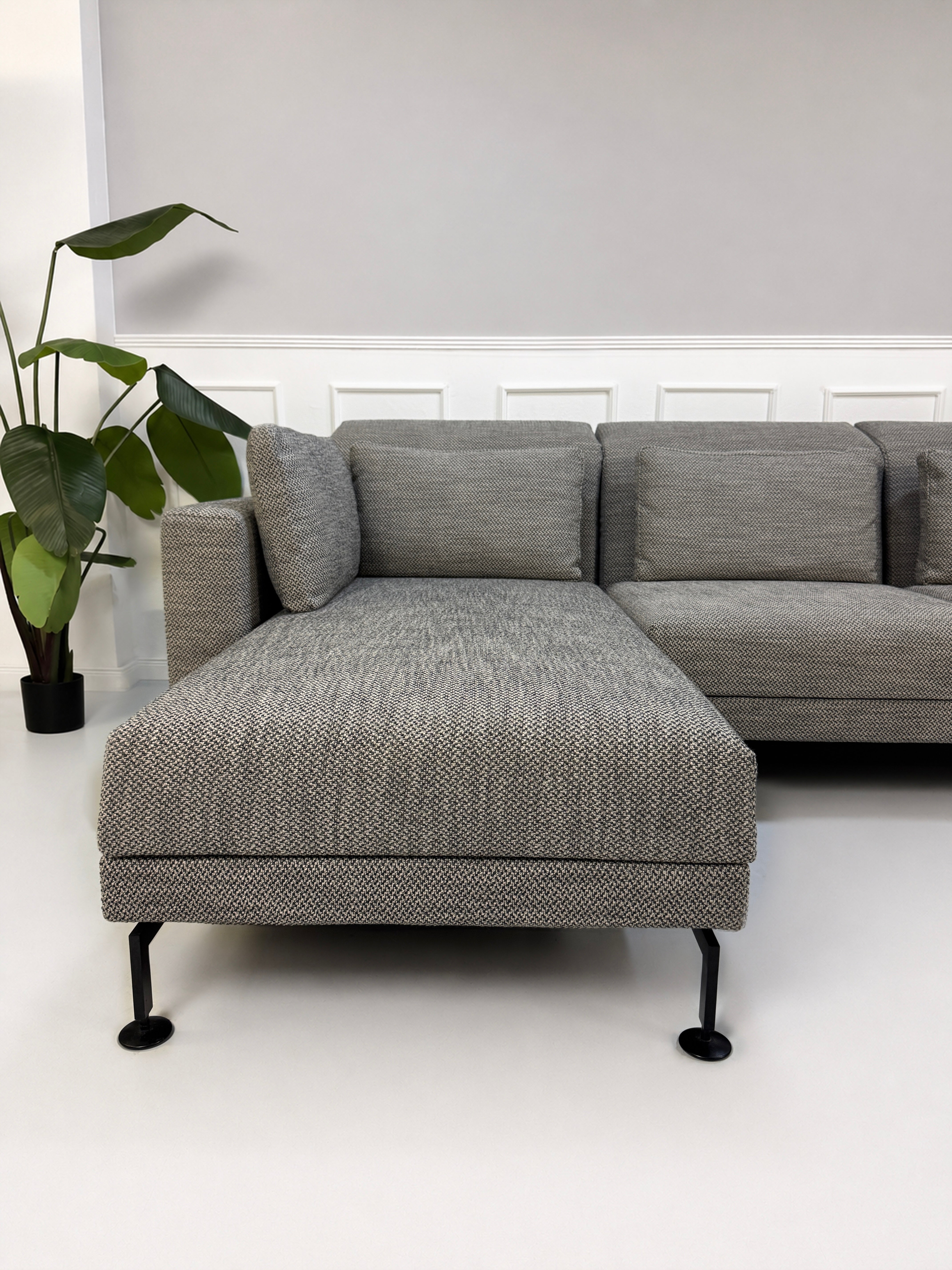 Gebrauchtes graues Brühl Moule Designer Stoff Sofa vor einer Wand, stilvoll und modern eingerichtet.