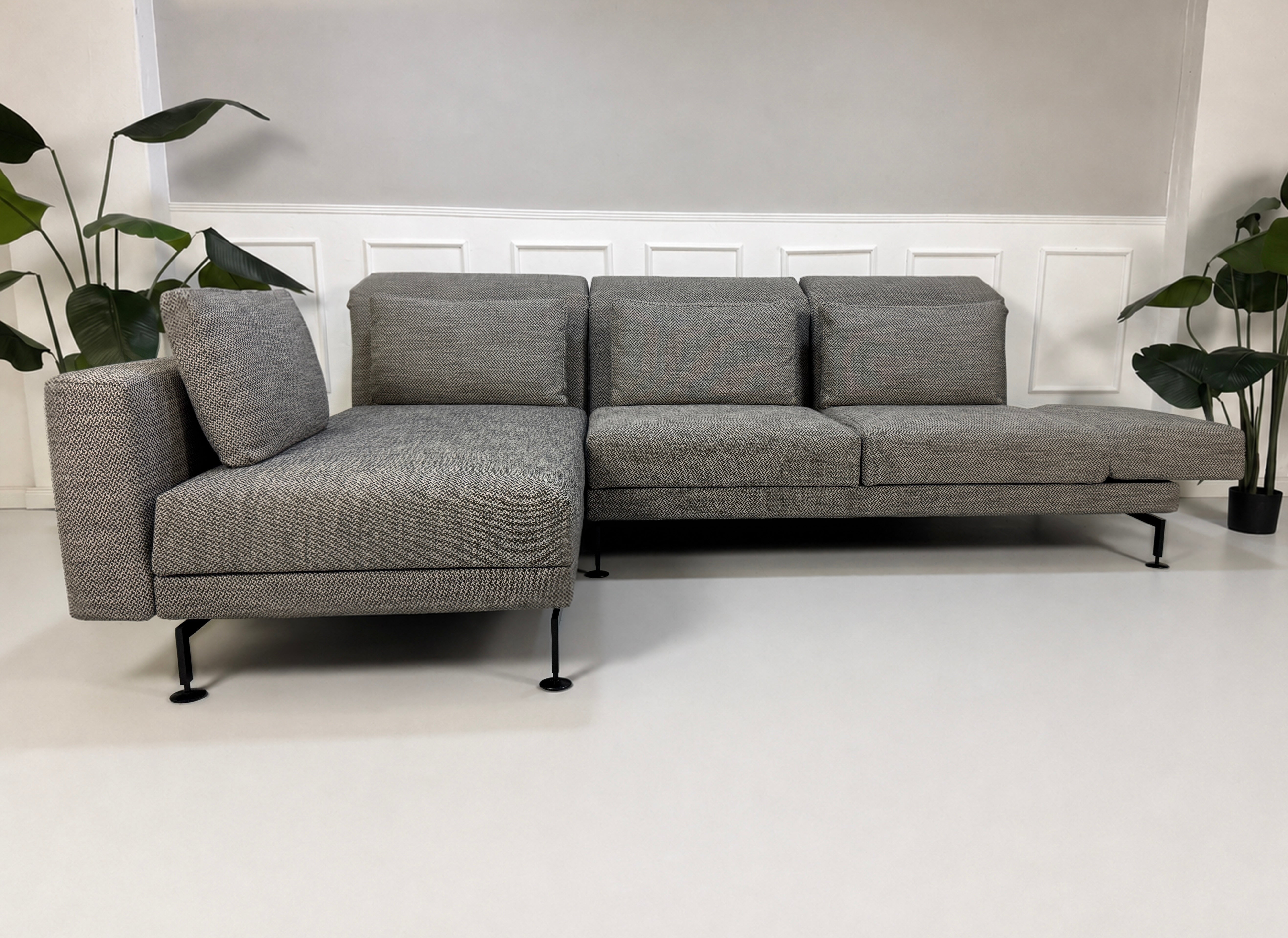 Gebrauchtes graues Brühl Moule Designer Stoff Sofa vor einer Wand, stilvoll und modern eingerichtet.