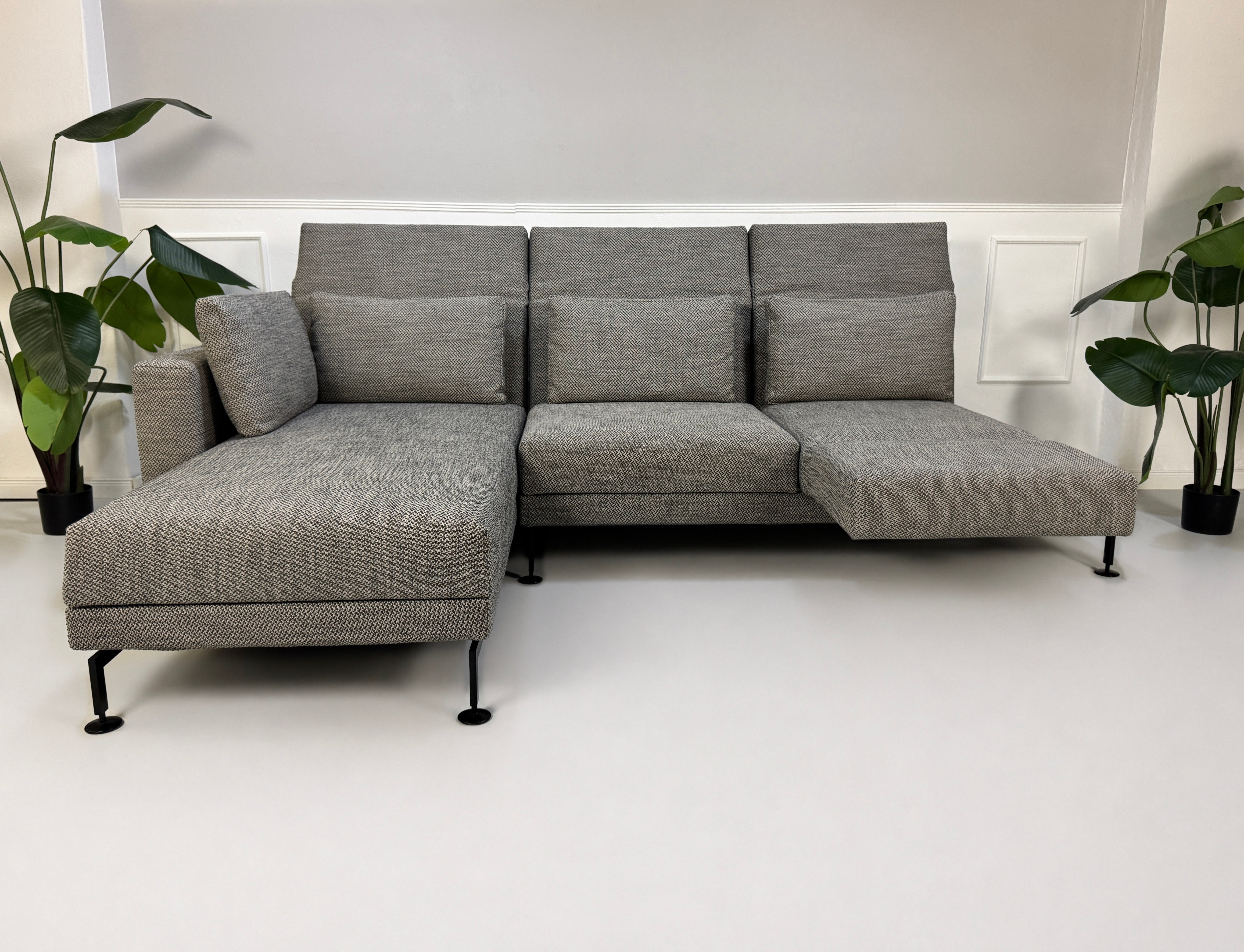 Gebrauchtes graues Brühl Moule Designer Stoff Sofa vor einer Wand, stilvoll und modern eingerichtet.