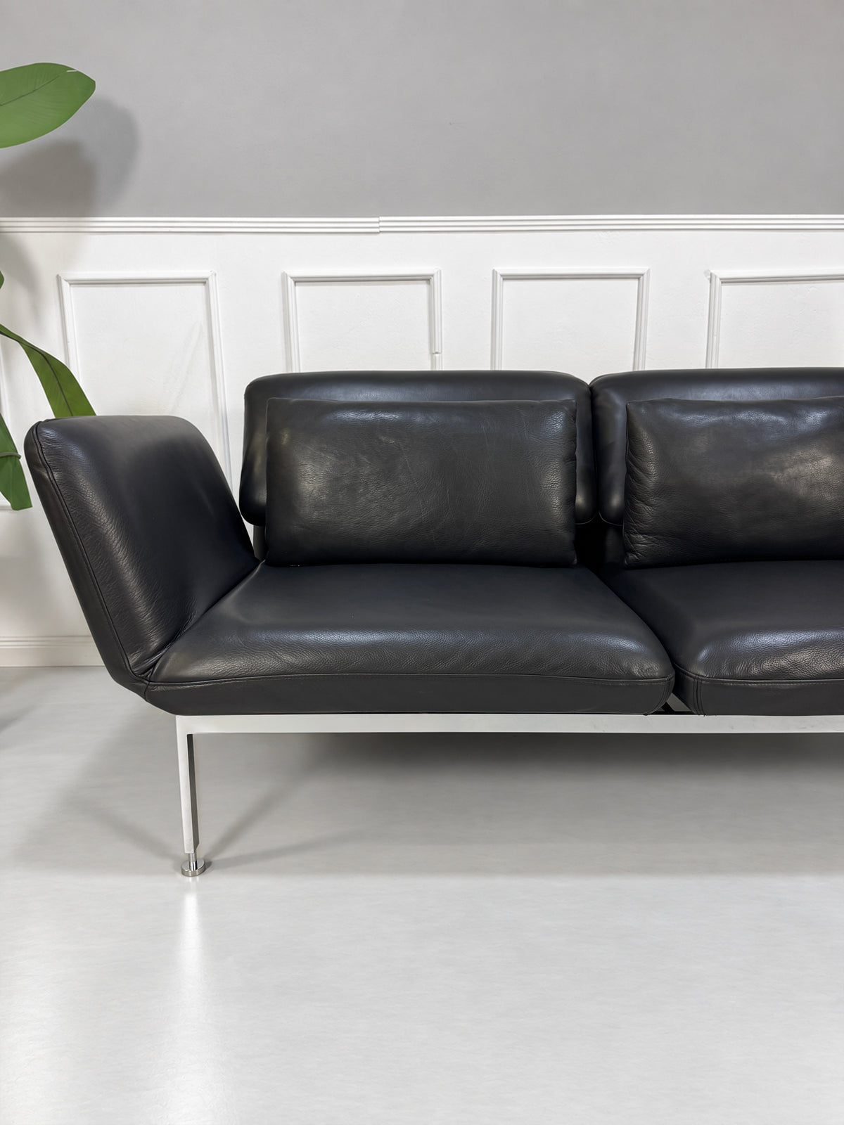 Gebrauchtes graues Brühl Roro Medium Designer Leder Sofa vor einer Wand, stilvoll und modern eingerichtet.
