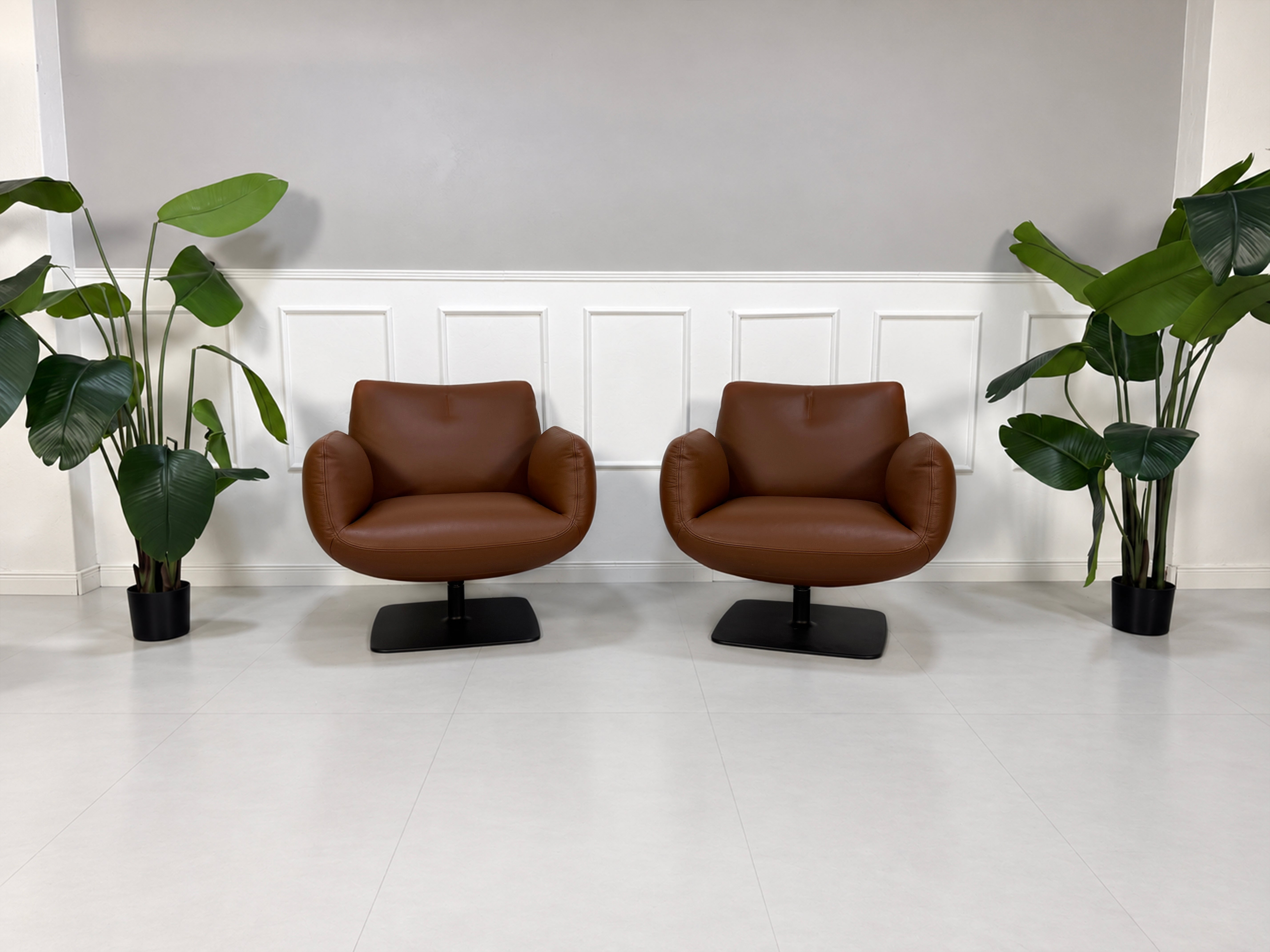 Gebrauchter brauner COR Jalis Designer Leder Sessel vor einer Wand, stilvoll und modern eingerichtet.