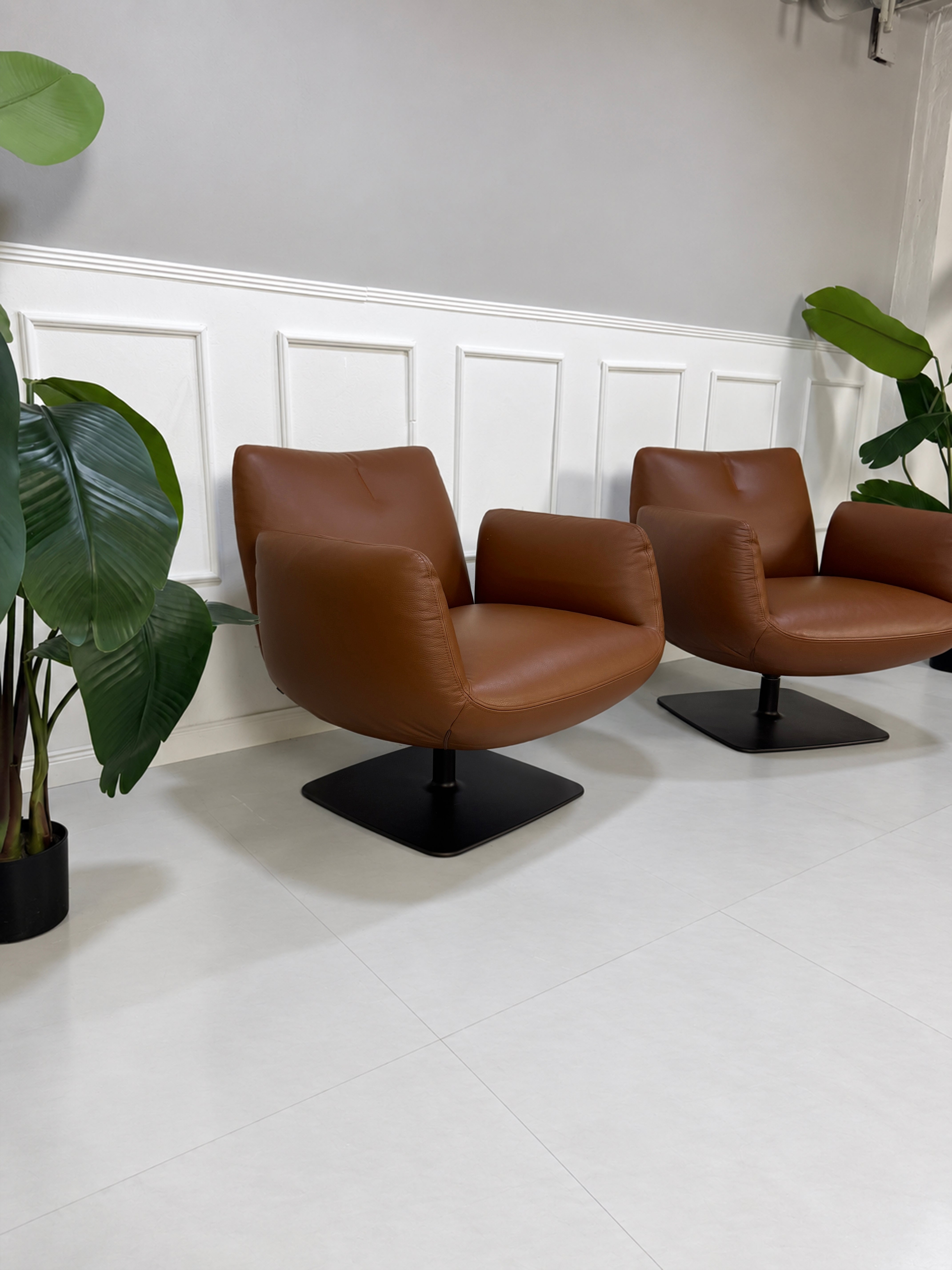 Gebrauchter brauner COR Jalis Designer Leder Sessel vor einer Wand, stilvoll und modern eingerichtet.