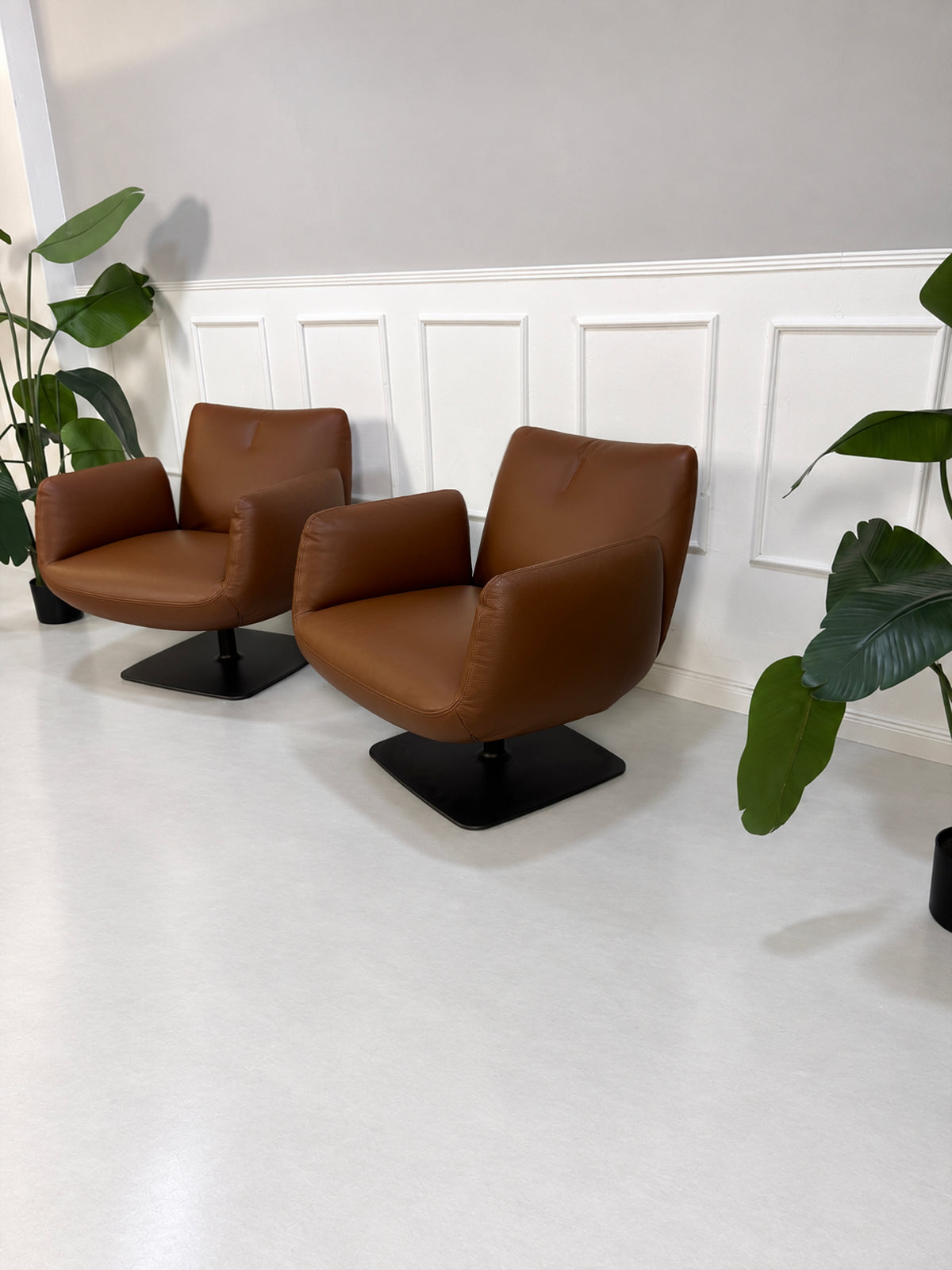 Gebrauchter brauner COR Jalis Designer Leder Sessel vor einer Wand, stilvoll und modern eingerichtet.
