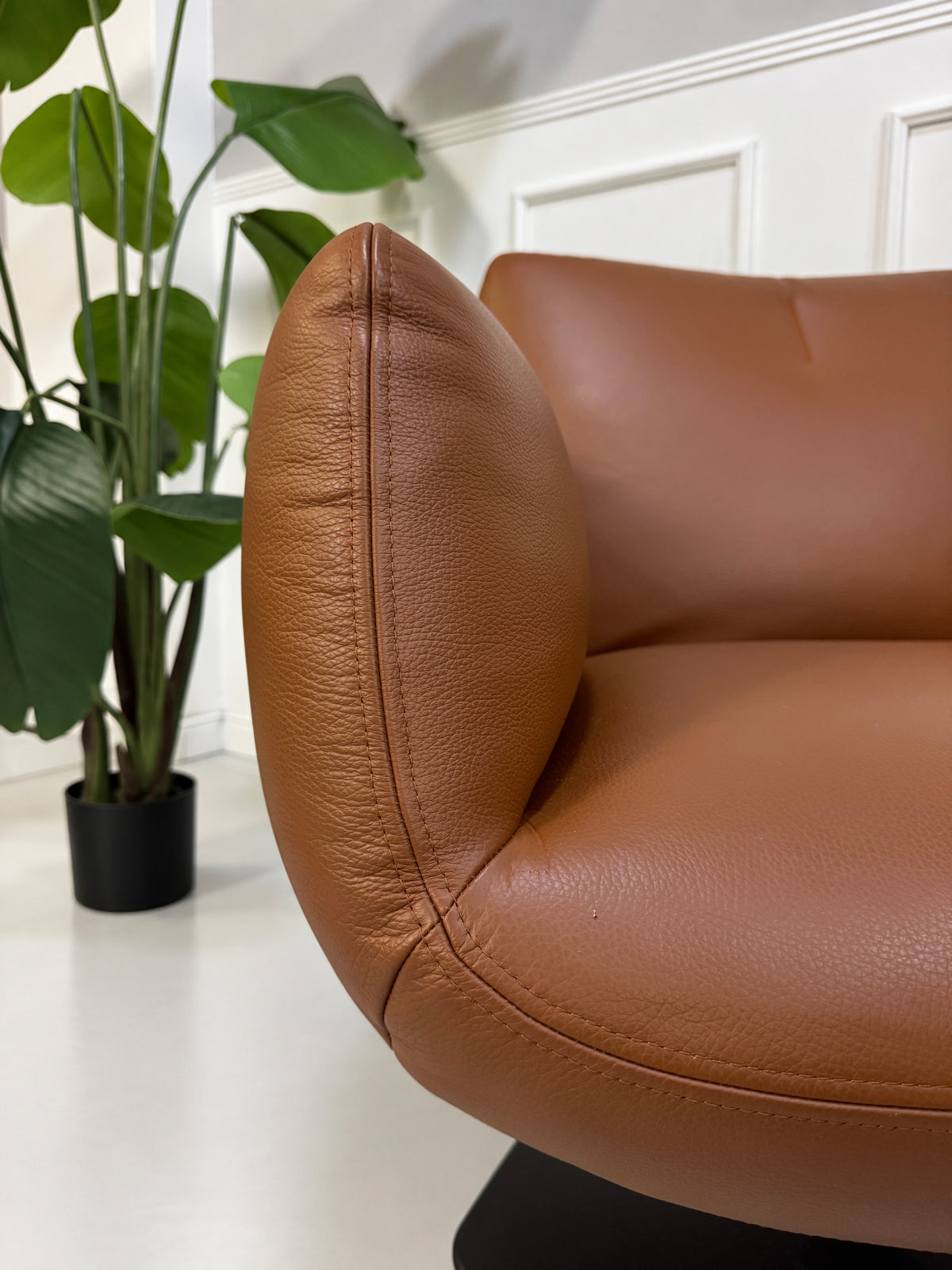Gebrauchter brauner COR Jalis Designer Leder Sessel vor einer Wand, stilvoll und modern eingerichtet.