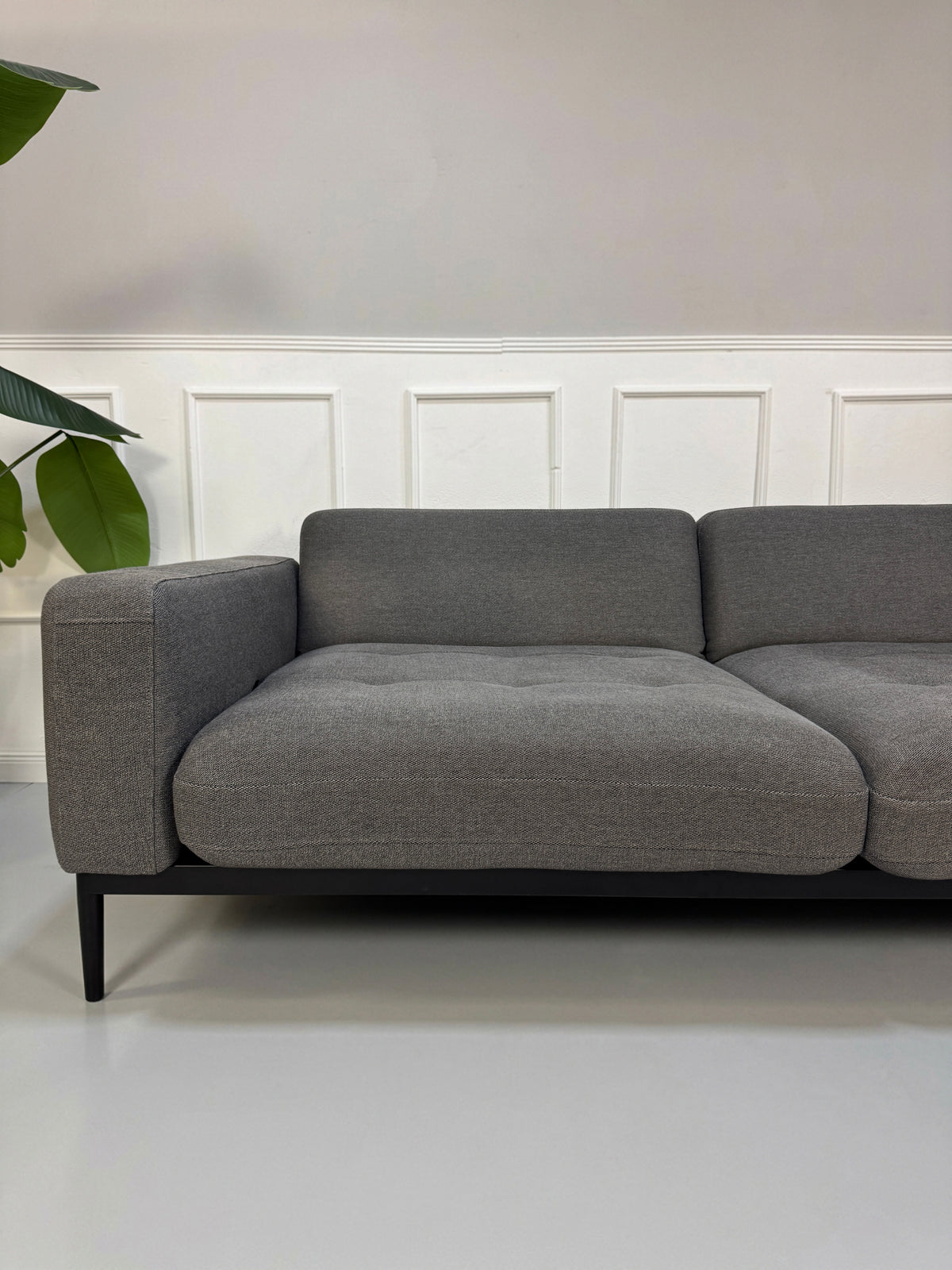 Gebrauchtes graues Rolf Benz Tira Designer Stoff Sofa vor einer Wand, stilvoll und modern eingerichtet.