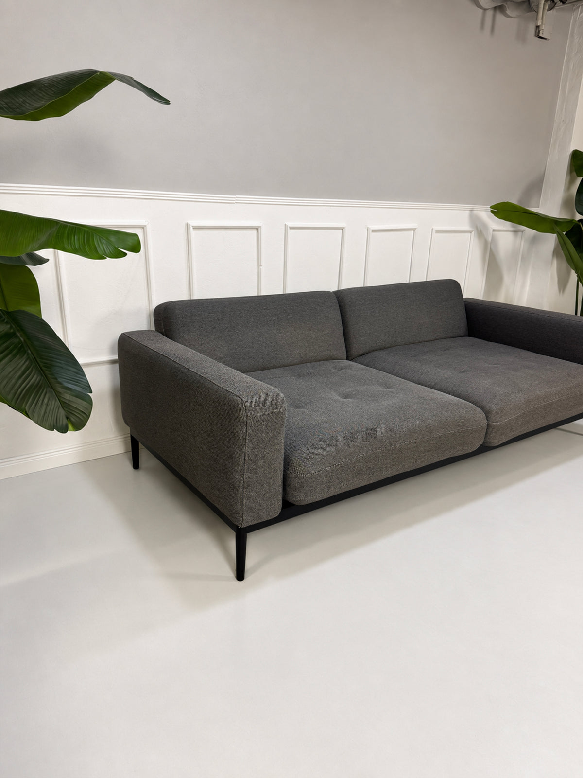 Gebrauchtes graues Rolf Benz Tira Designer Stoff Sofa vor einer Wand, stilvoll und modern eingerichtet.