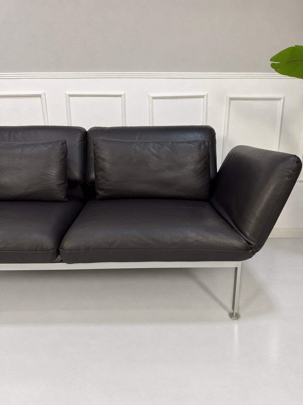 Gebrauchtes schwarzes Brühl Roro Medium Designer Leder Sofa vor einer Wand, stilvoll und modern eingerichtet.