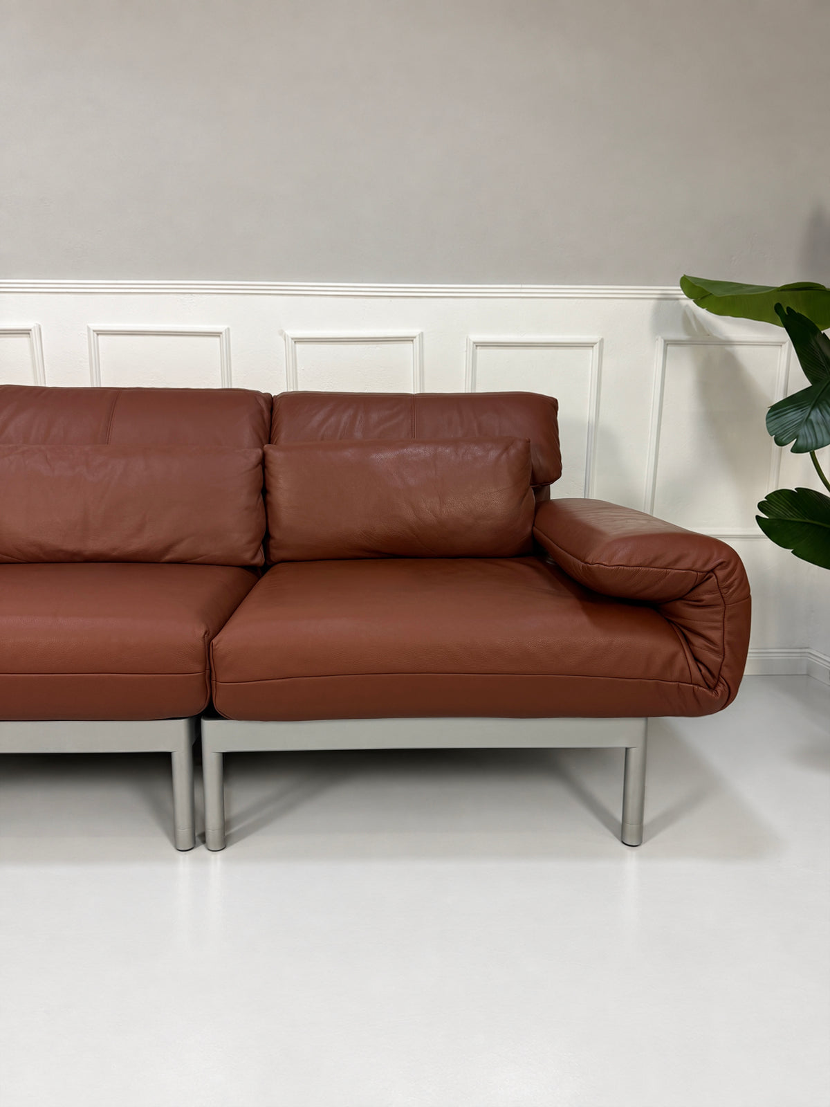 Gebrauchtes braunes Rolf Benz Plura 380 Designer Leder Sofa vor einer Wand, stilvoll und modern eingerichtet.