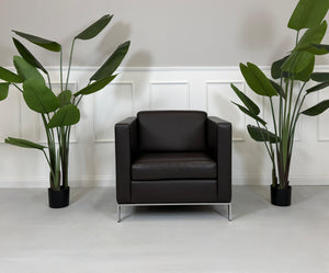 Gebrauchter brauner Walter Knoll Designer Leder Sofa vor einer Wand, stilvoll und modern eingerichtet.