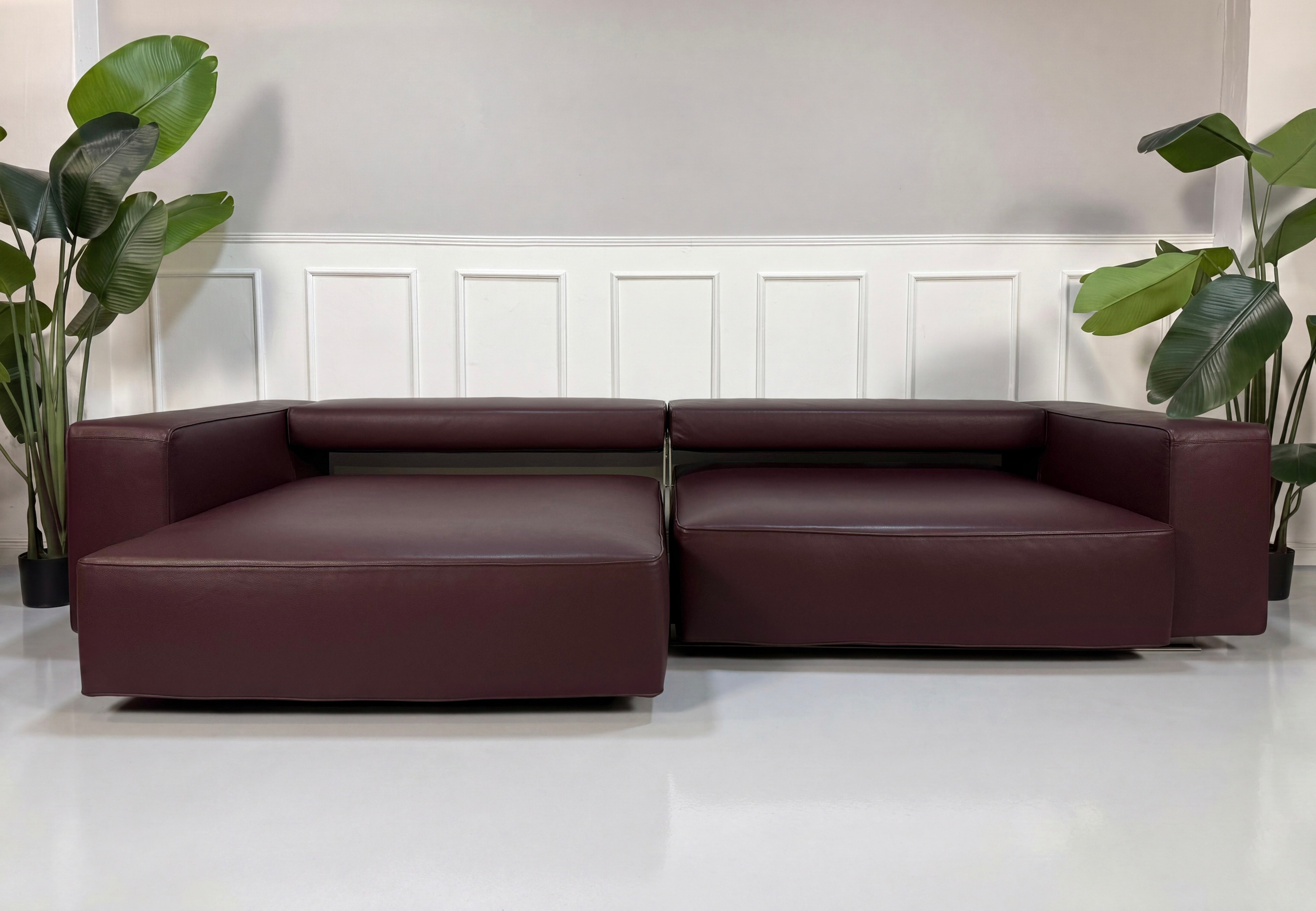 Ausstellungsstück rotes B&B Italia Andy Designer Leder Sofa vor einer Wand, stilvoll und modern eingerichtet.