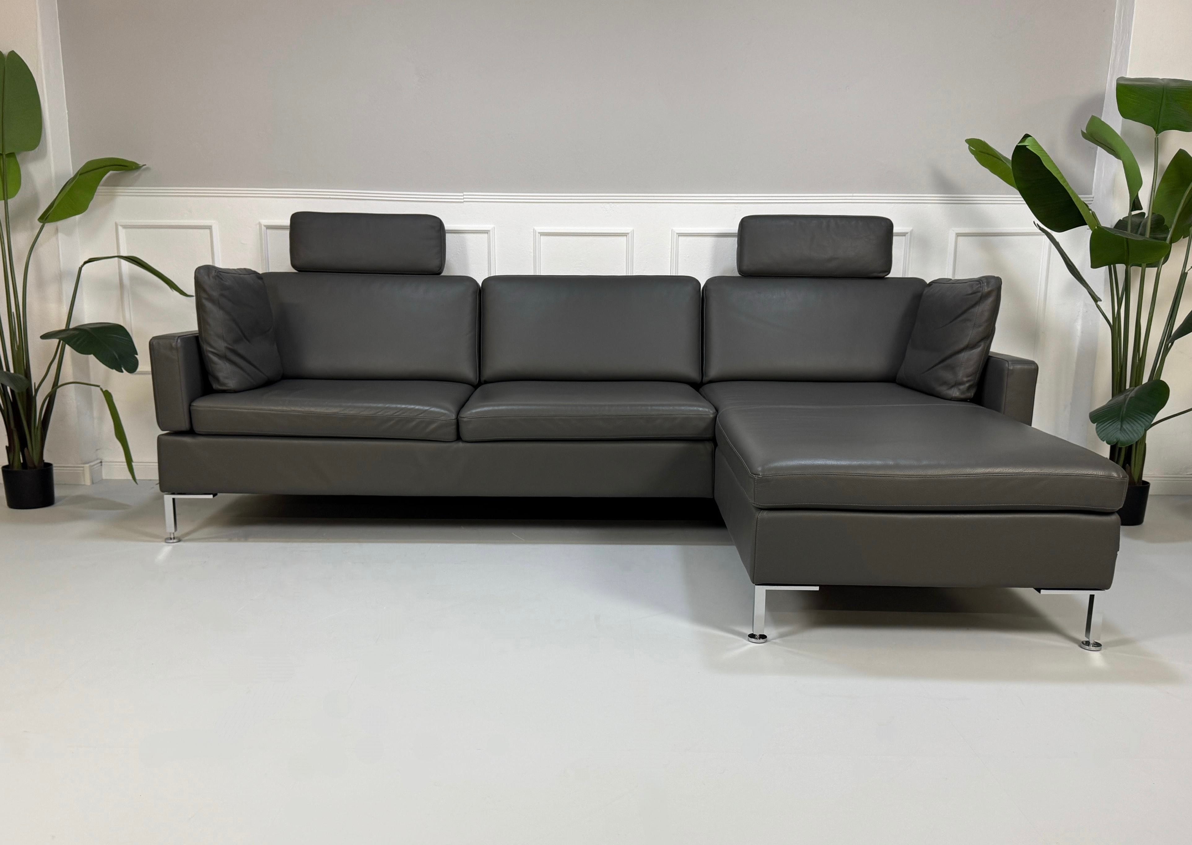 Gebrauchtes graues Brühl Alba Designer Leder Sofa vor einer Wand, stilvoll und modern eingerichtet.