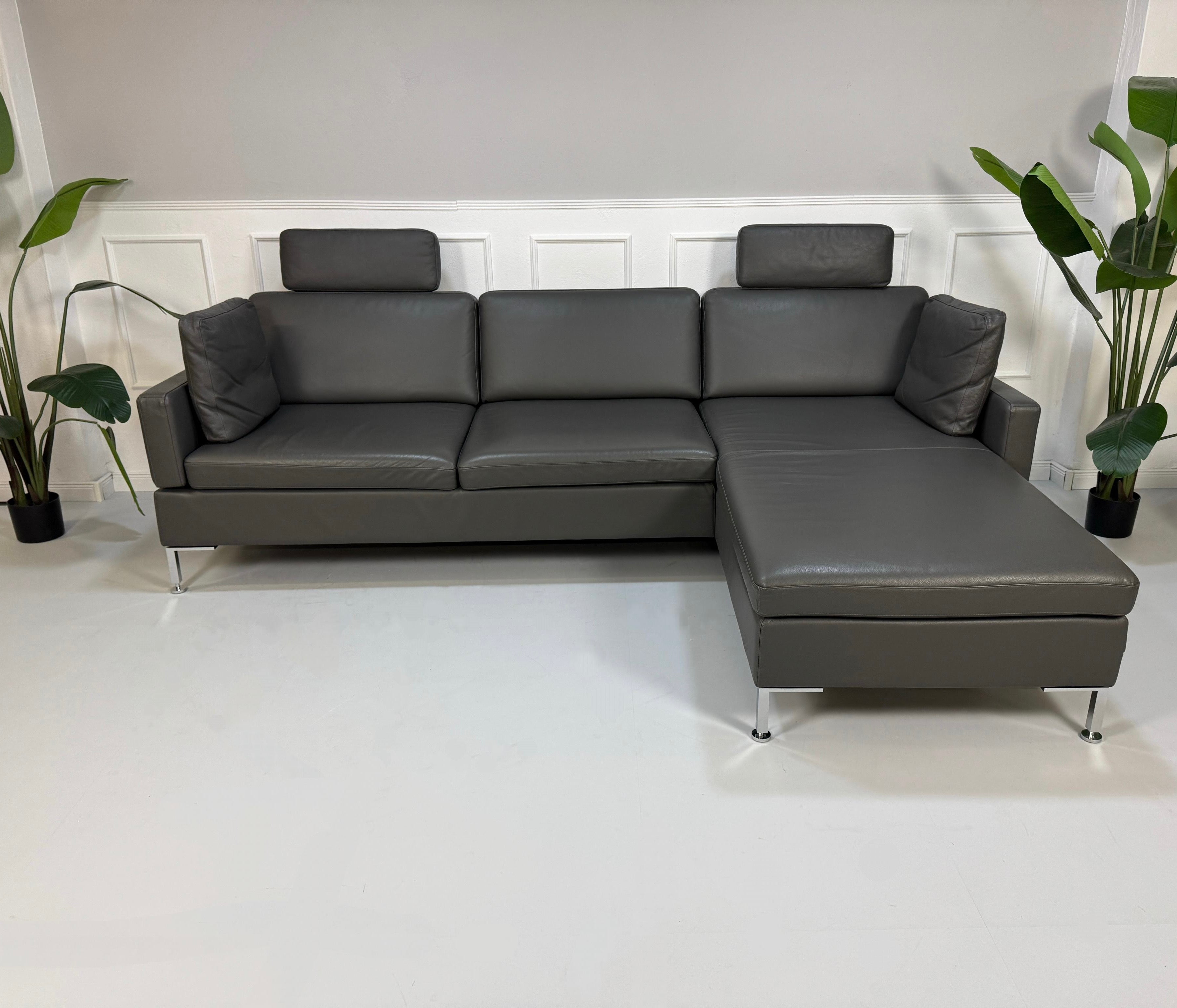 Gebrauchtes graues Brühl Alba Designer Leder Sofa vor einer Wand, stilvoll und modern eingerichtet.