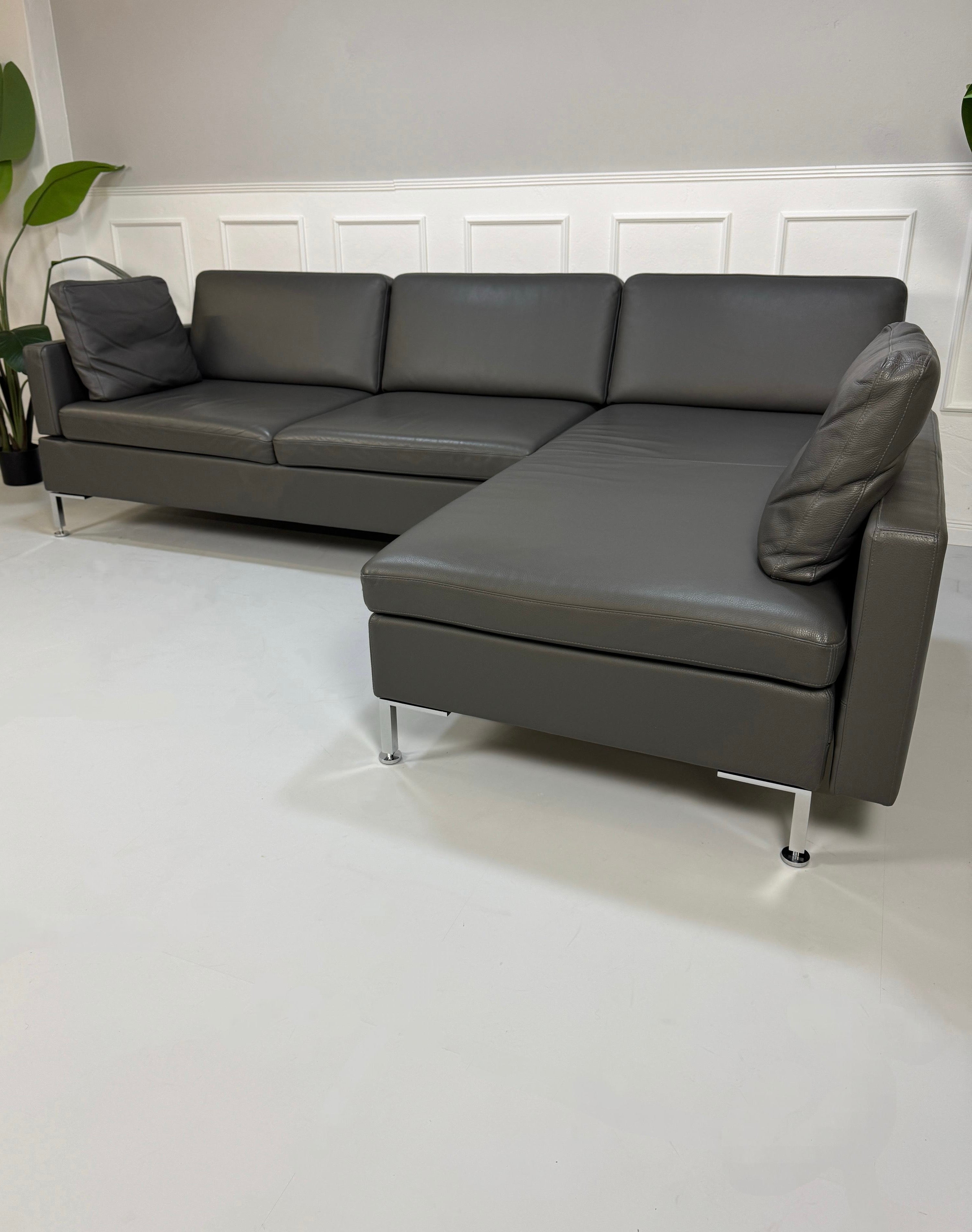 Gebrauchtes graues Brühl Alba Designer Leder Sofa vor einer Wand, stilvoll und modern eingerichtet.