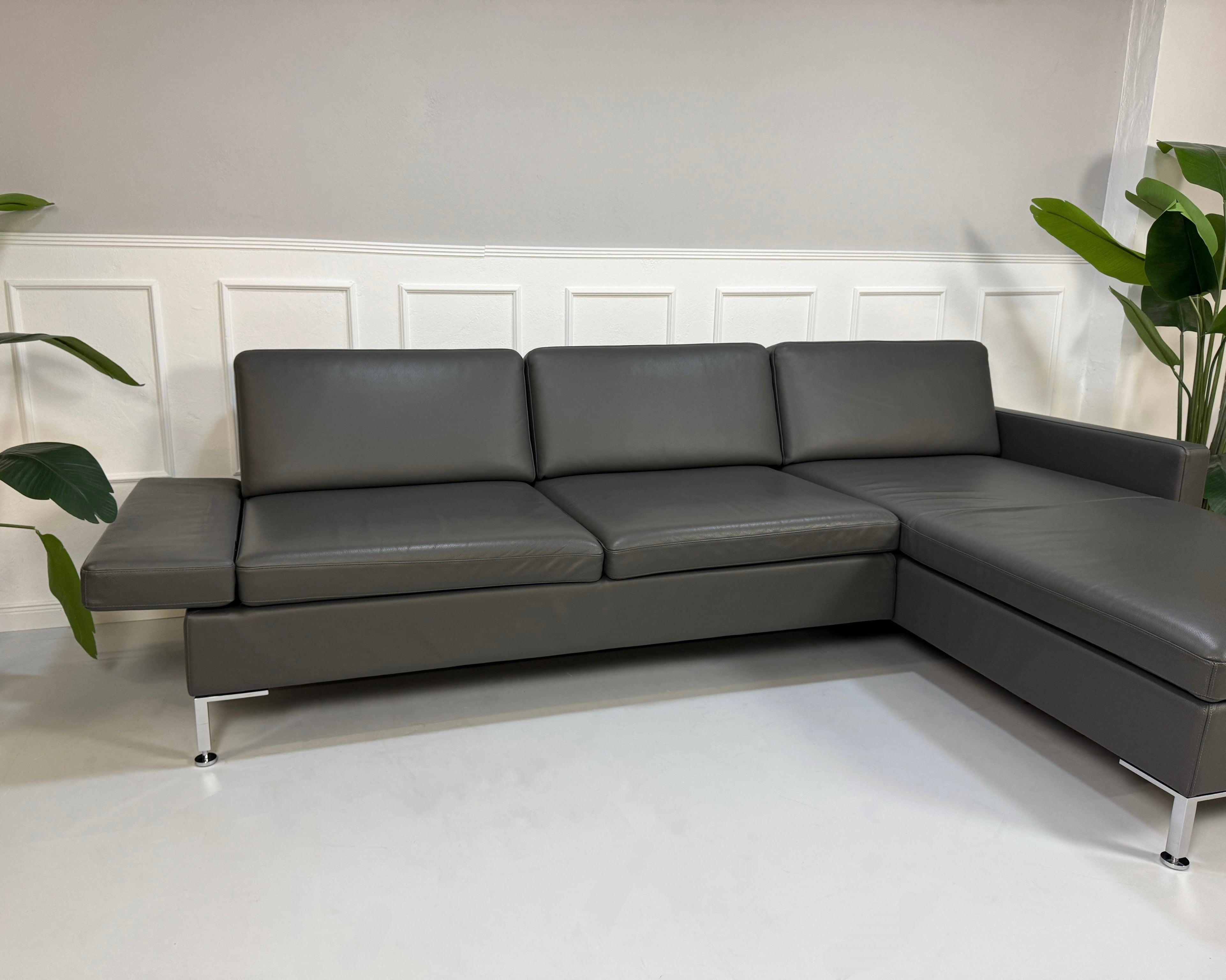 Gebrauchtes graues Brühl Alba Designer Leder Sofa vor einer Wand, stilvoll und modern eingerichtet.