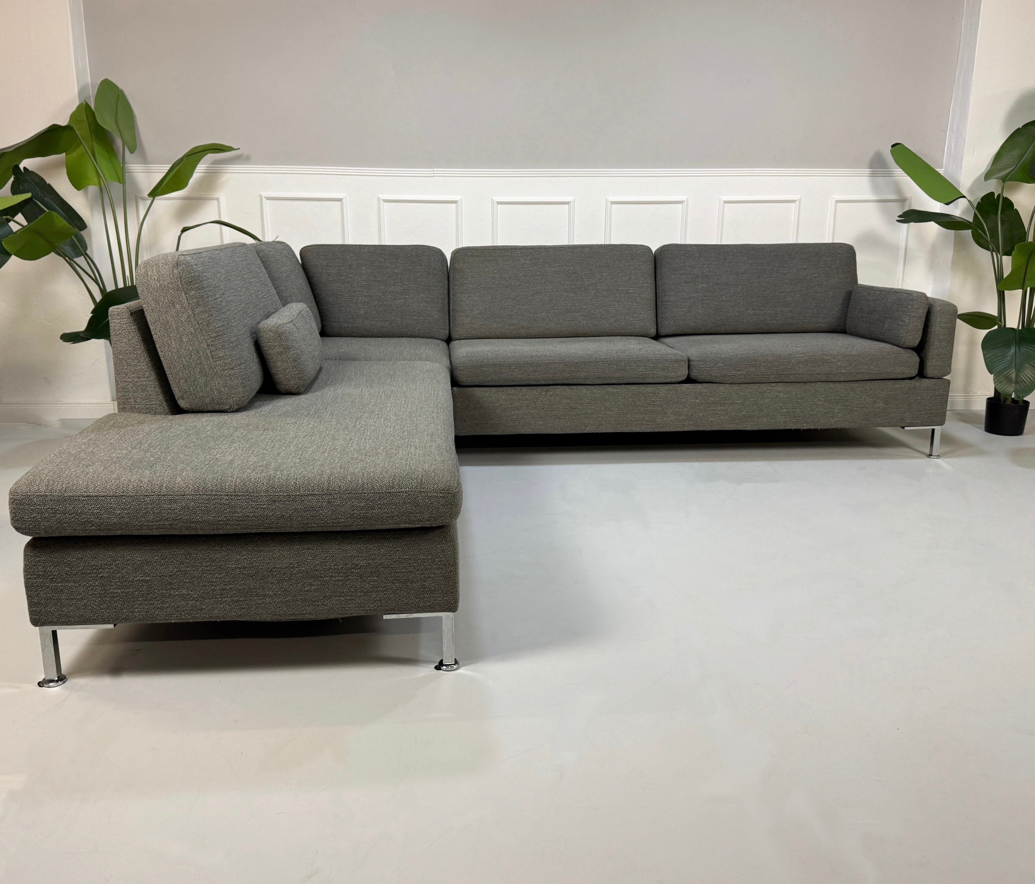 Gebrauchtes graues Brühl Alba Designer Stoff Sofa vor einer Wand, stilvoll und modern eingerichtet.