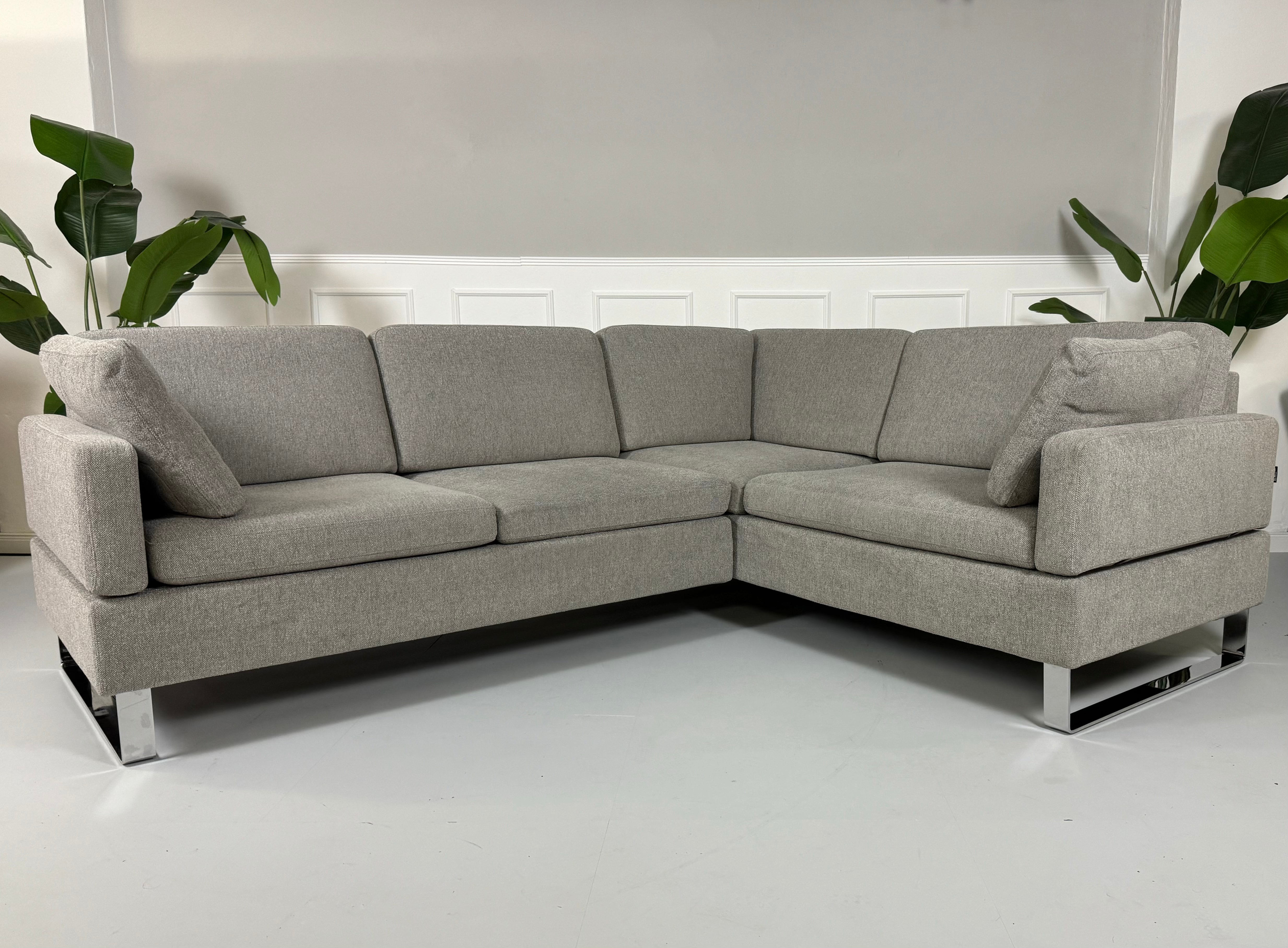 Gebrauchtes graues Brühl Alba Stoff Ecksofa vor einer Wand, stilvoll und modern eingerichtet.