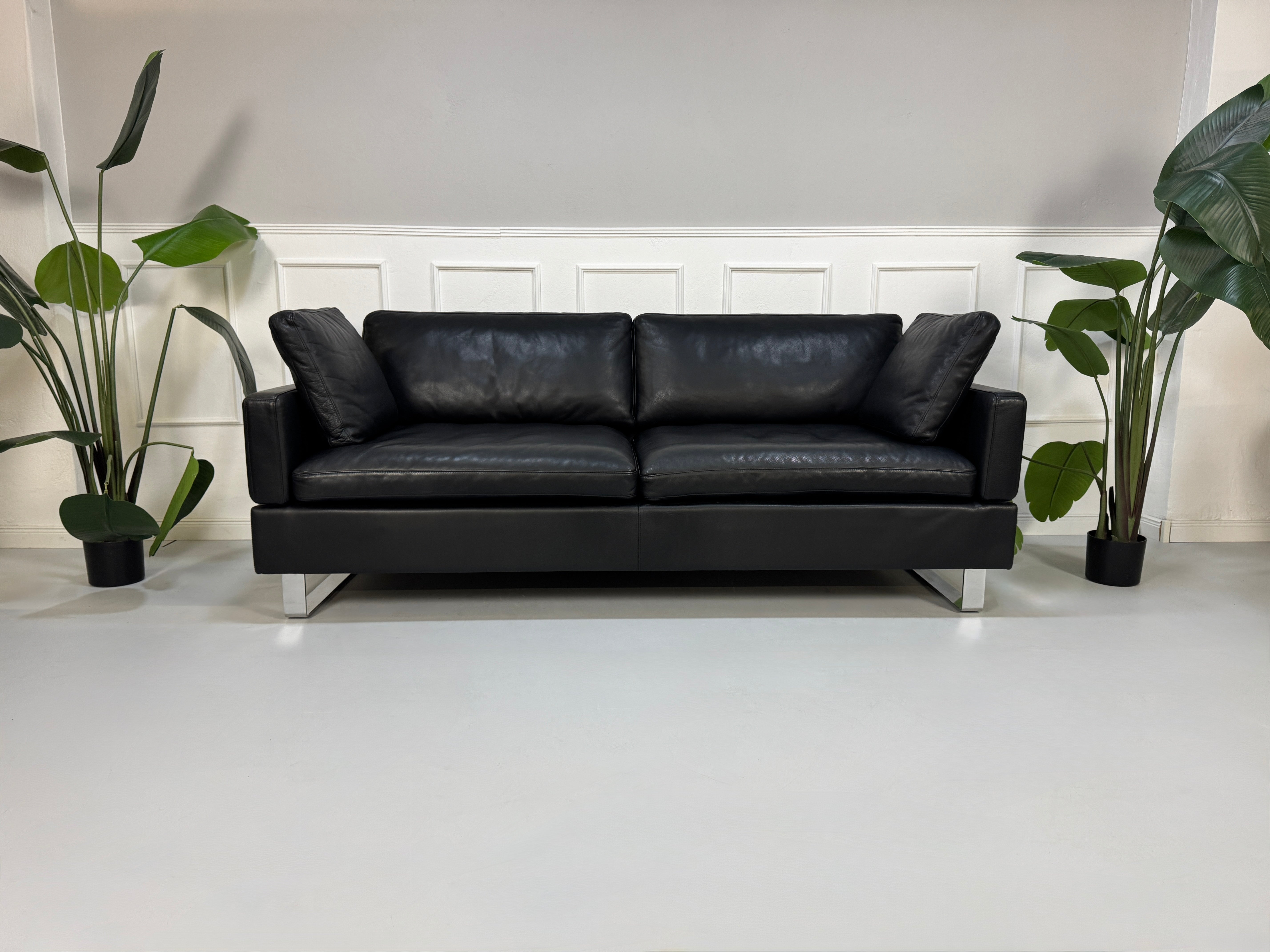 Ein gebrauchtes Sofa der Marke Brühl Modell Alba in der Farbe Schwarz Designer Leder Sofa vor einer Wand, stilvoll und modern eingerichtet.