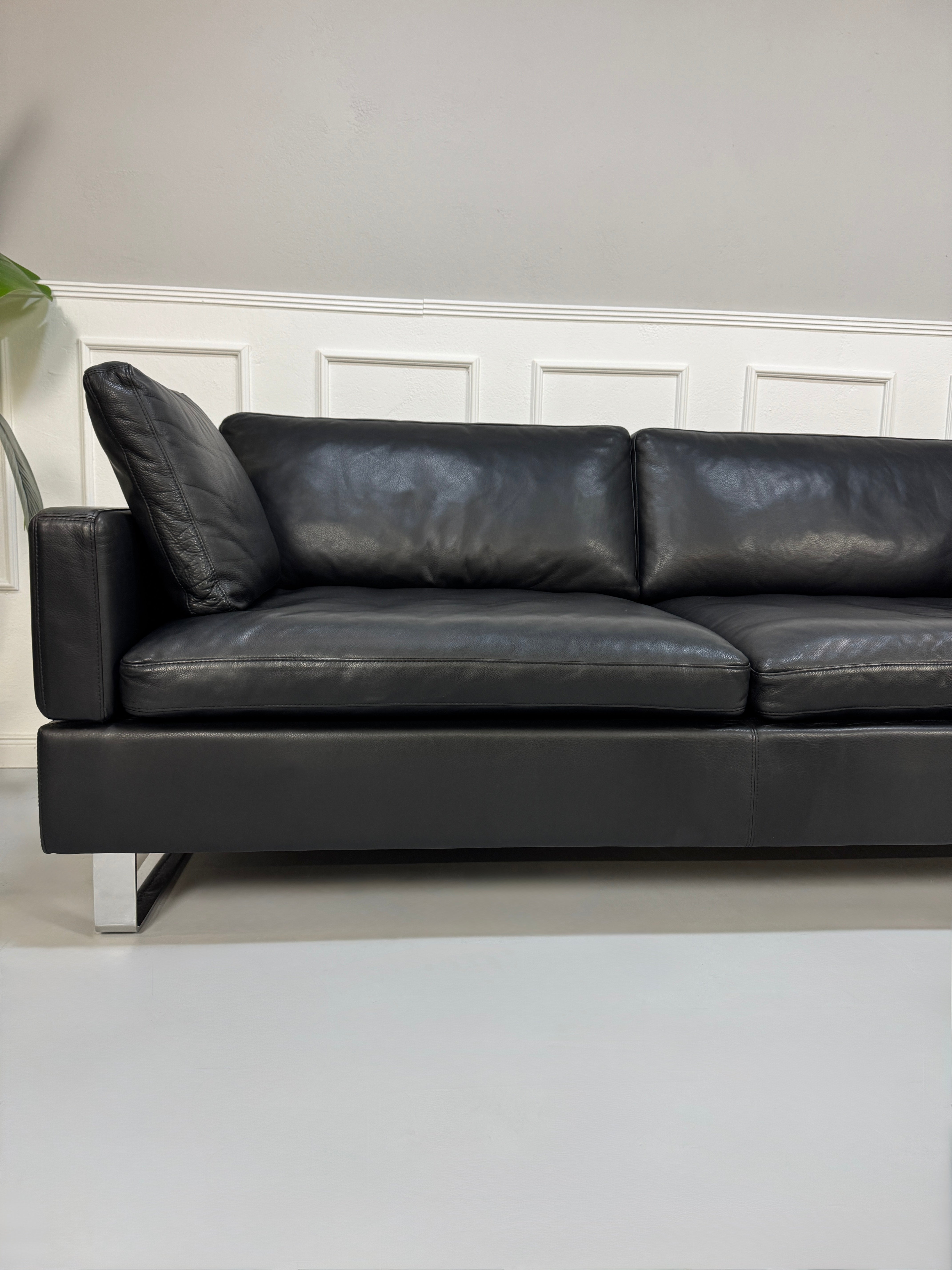 Ein gebrauchtes Sofa der Marke Brühl Modell Alba in der Farbe Schwarz Designer Leder Sofa vor einer Wand, stilvoll und modern eingerichtet.