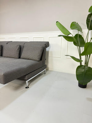 Gebrauchtes graues Brühl Moule Small Designer Stoff Sofa vor einer Wand, stilvoll und modern eingerichtet.