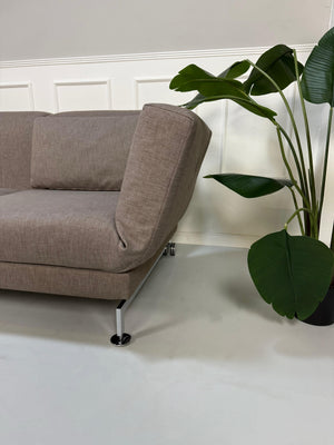 Gebrauchtes Brühl Moule in der Farbe Taupe Designer Leder Sofa vor einer Wand, stilvoll und modern eingerichtet.