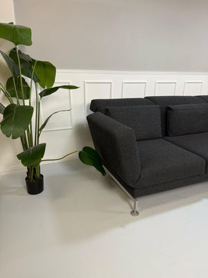 Gebrauchtes Brühl Moule in der Farbe Grau Designer Leder Sofa vor einer Wand, stilvoll und modern eingerichtet.