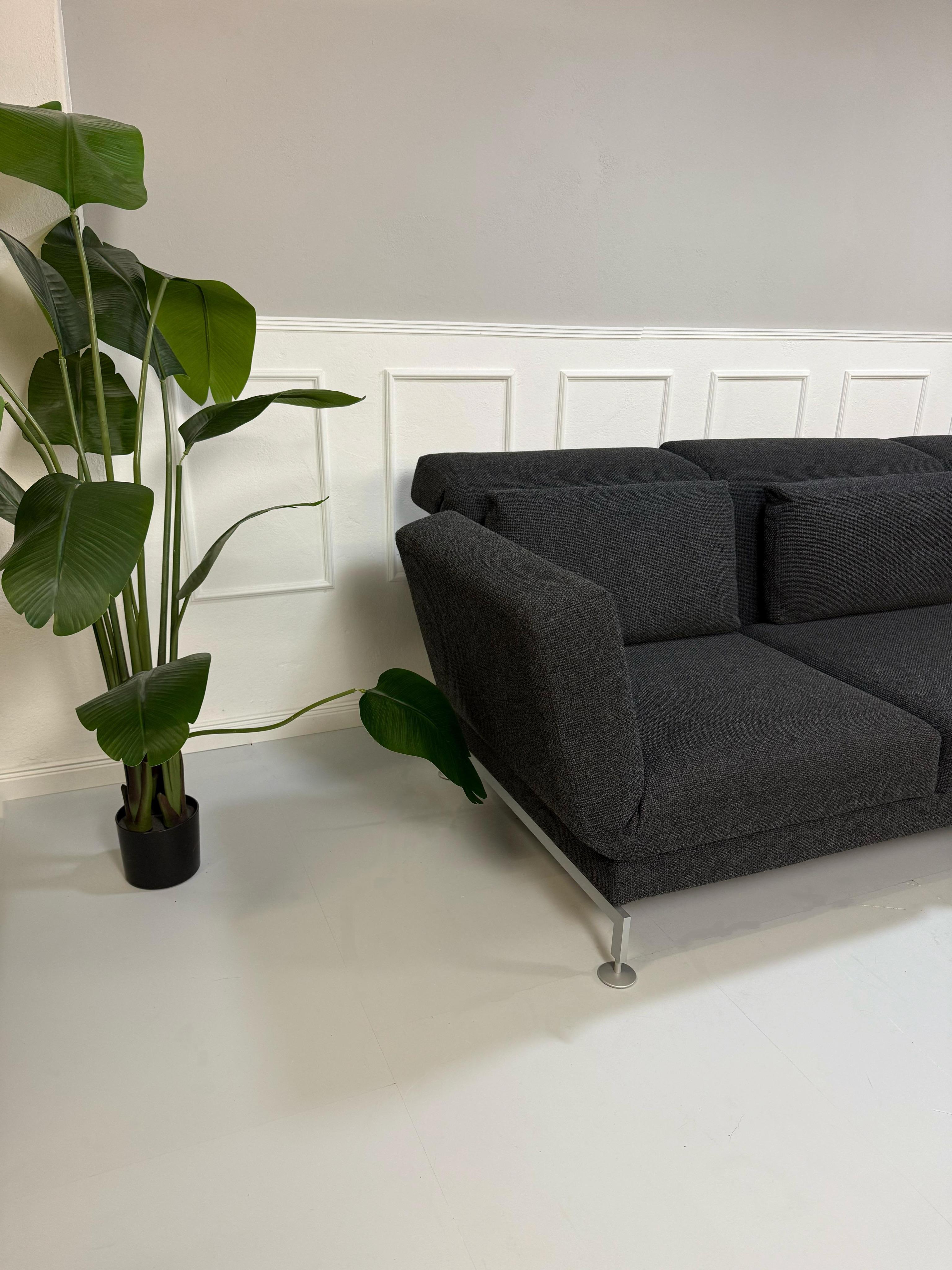 Gebrauchtes Brühl Moule in der Farbe Grau Designer Leder Sofa vor einer Wand, stilvoll und modern eingerichtet.