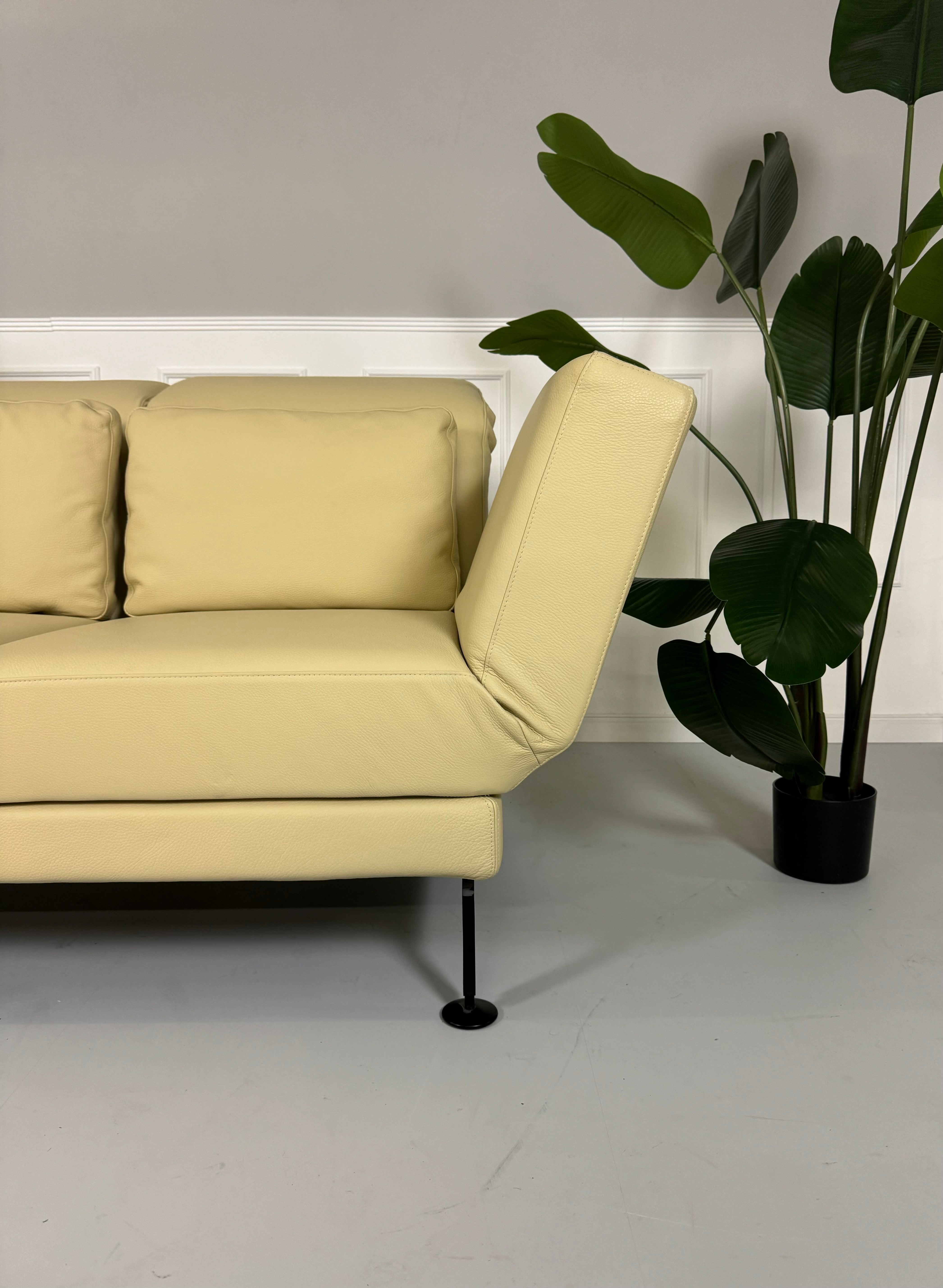 Gebrauchtes Brühl Moule Sofa Leder in der Farbe Beige vor einer Wand, stilvoll und modern eingerichtet.