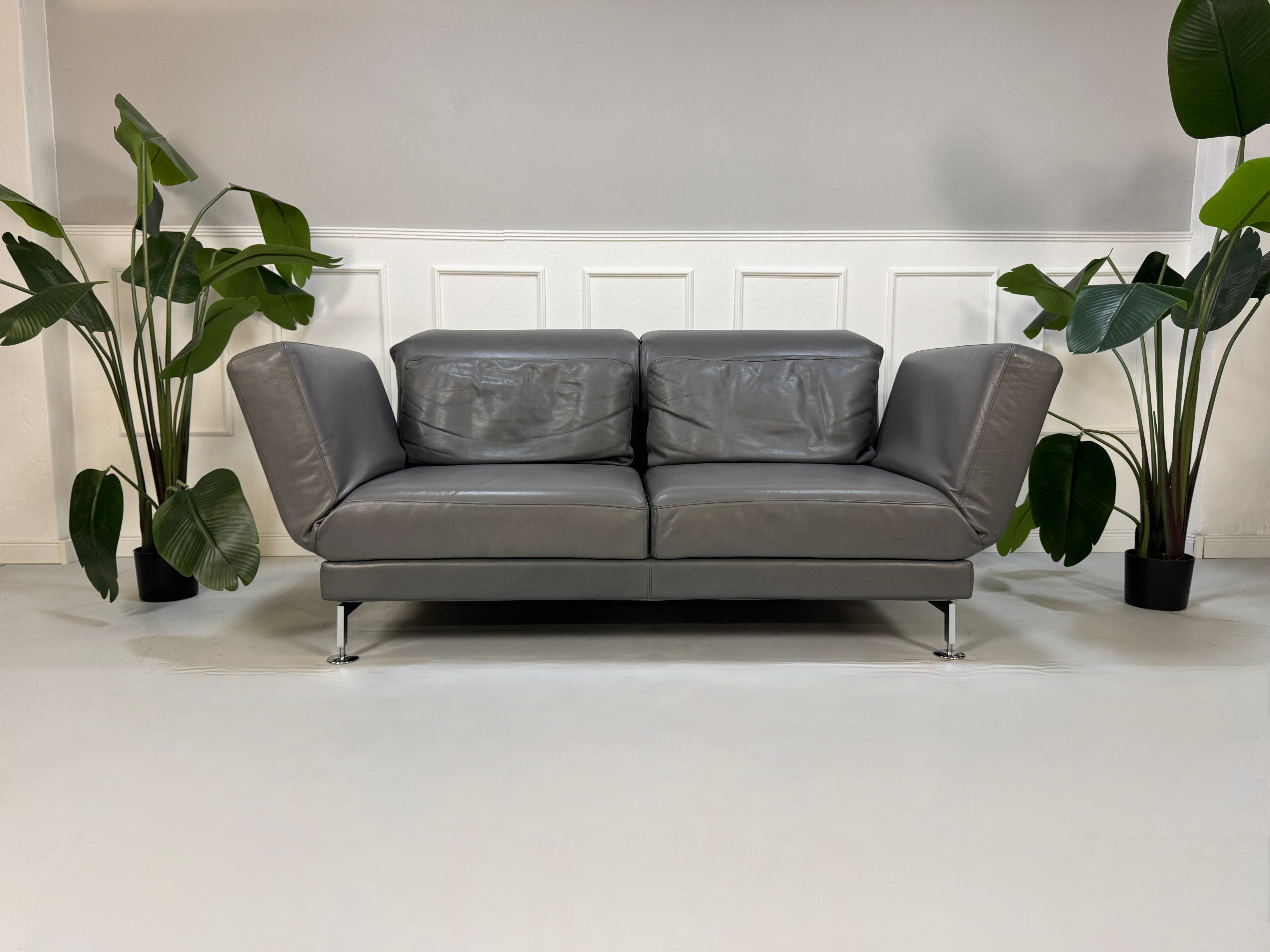 Refurbished graues Brühl Moule Designer Leder Sofa vor einer Wand, stilvoll und modern eingerichtet.