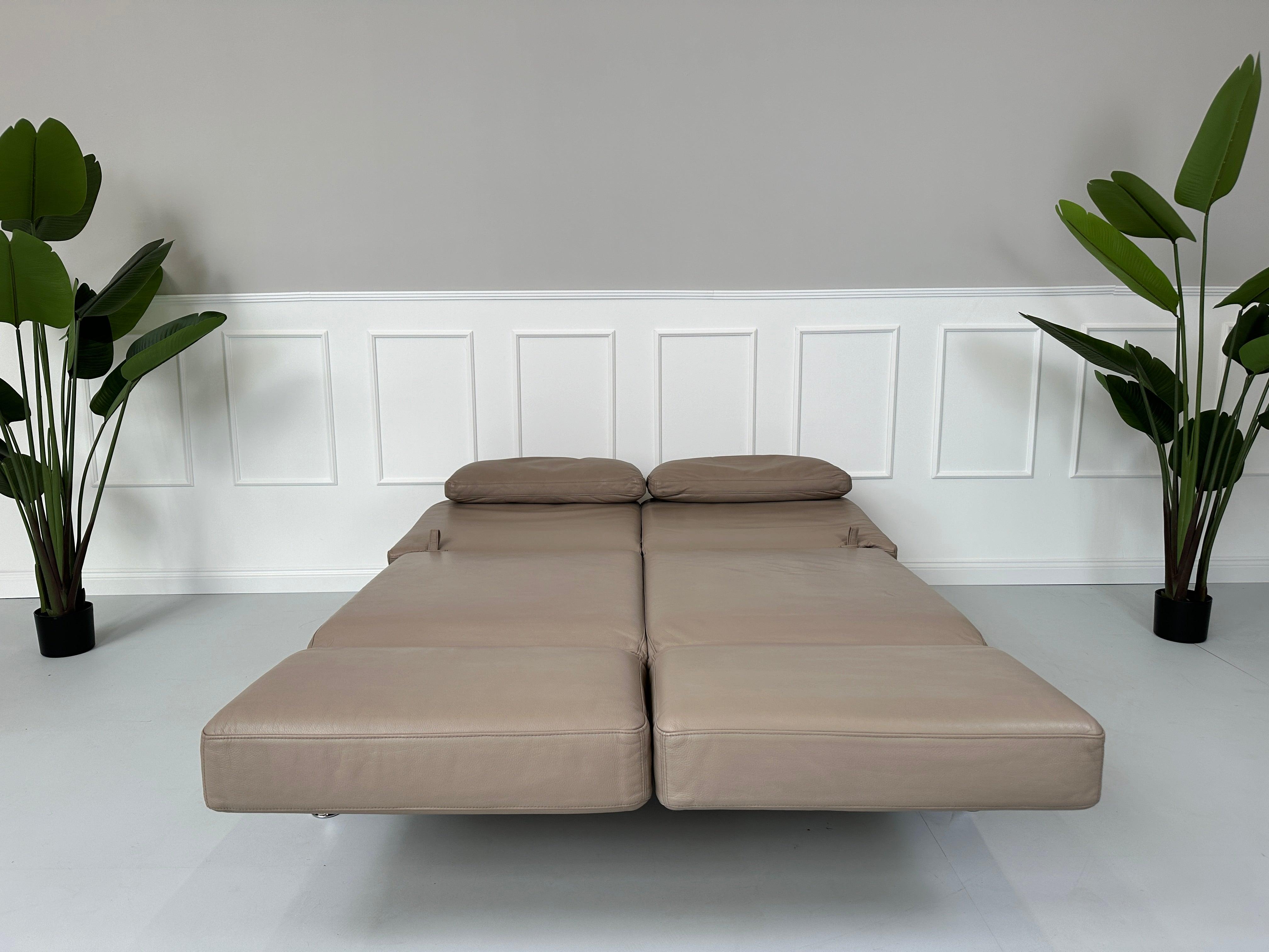 Gebrauchtes Brühl Moule 2-Sitzer Leder Sofa in der Farbe Schlamm vor einer Wand, stilvoll und modern eingerichtet.